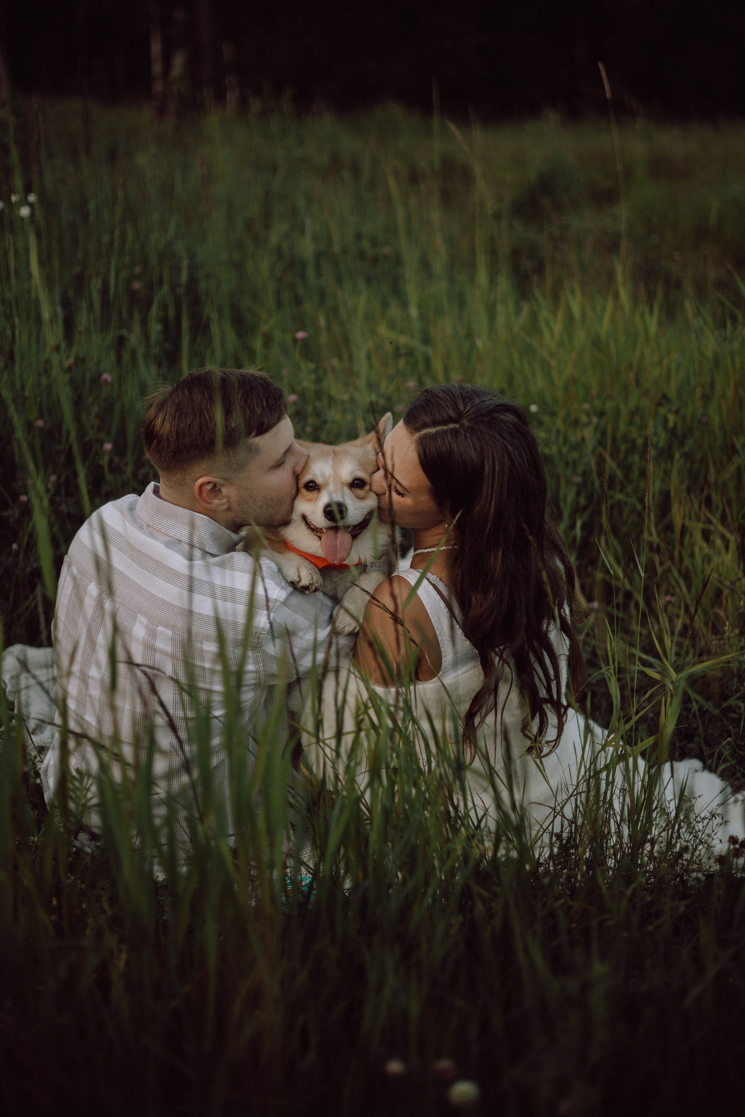 Фёдор и ребята. Фотограф — анималист •love-story•|Санкт-Петербург