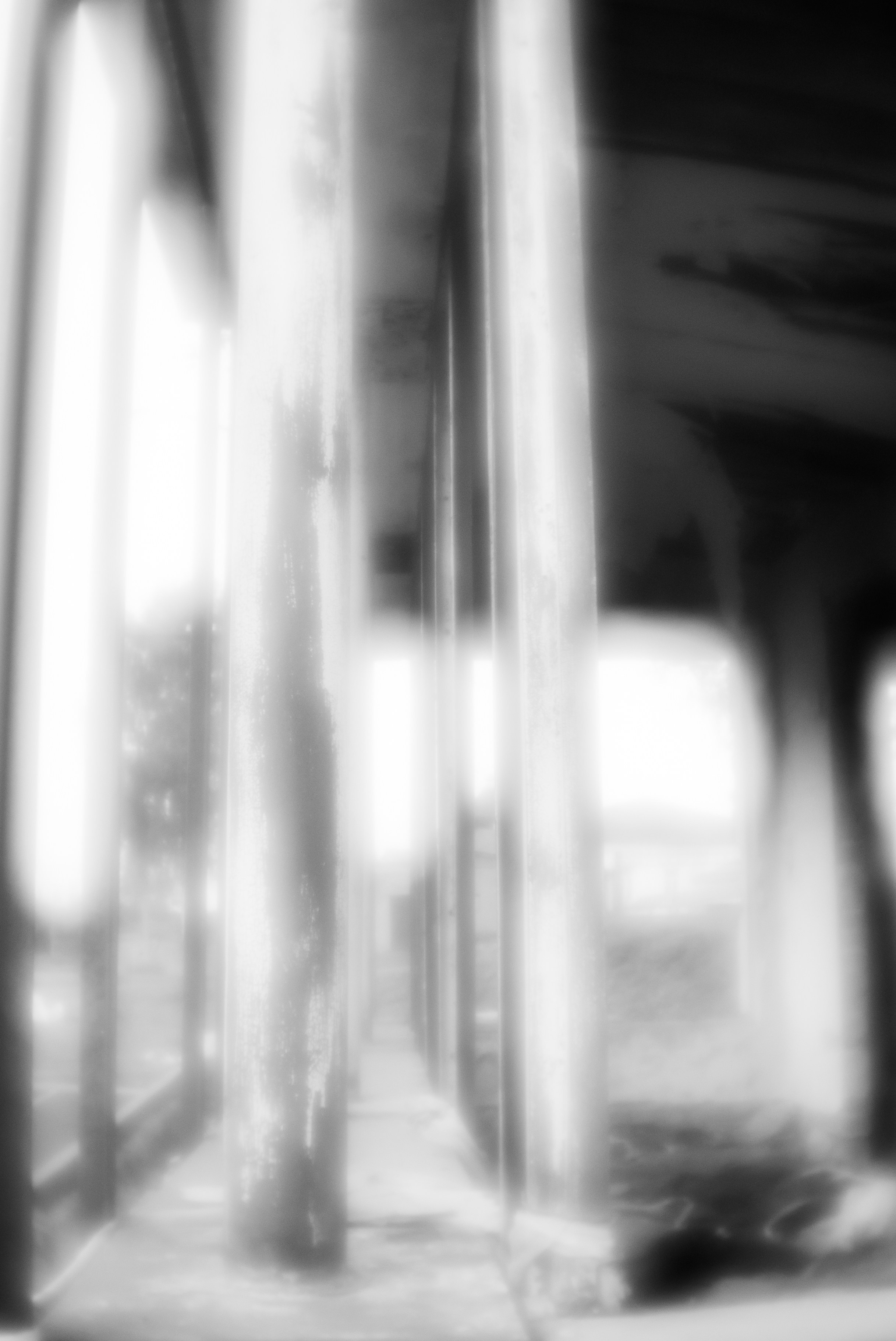 «Трава забвения»/ «The herb of oblivion» (2024-in progress). Morskyakanulavmorya