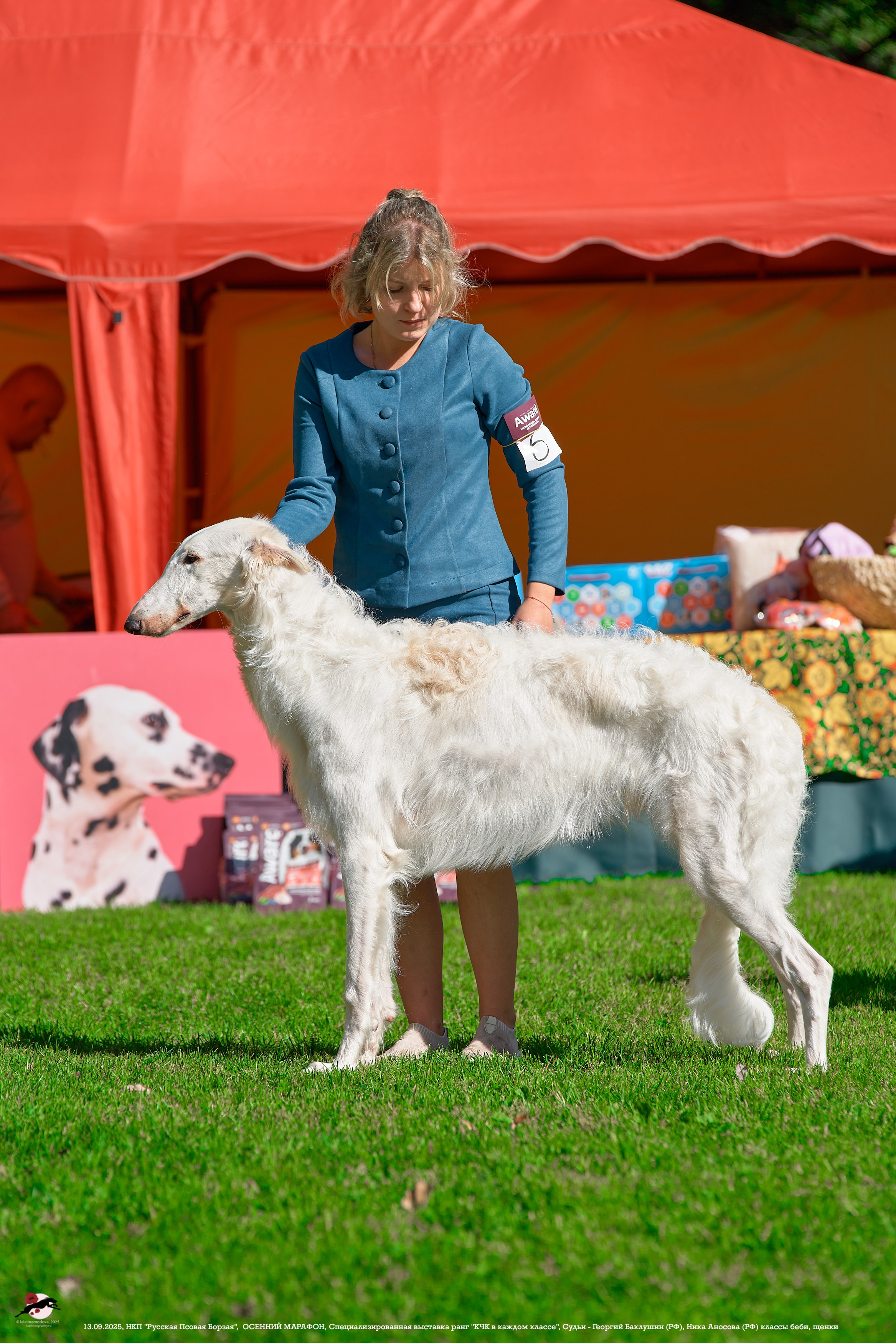ОСЕННИЙ МАРАФОН | Специализированная выставка породы Русская Псовая Борзая ранг "КЧК в каждом классе"