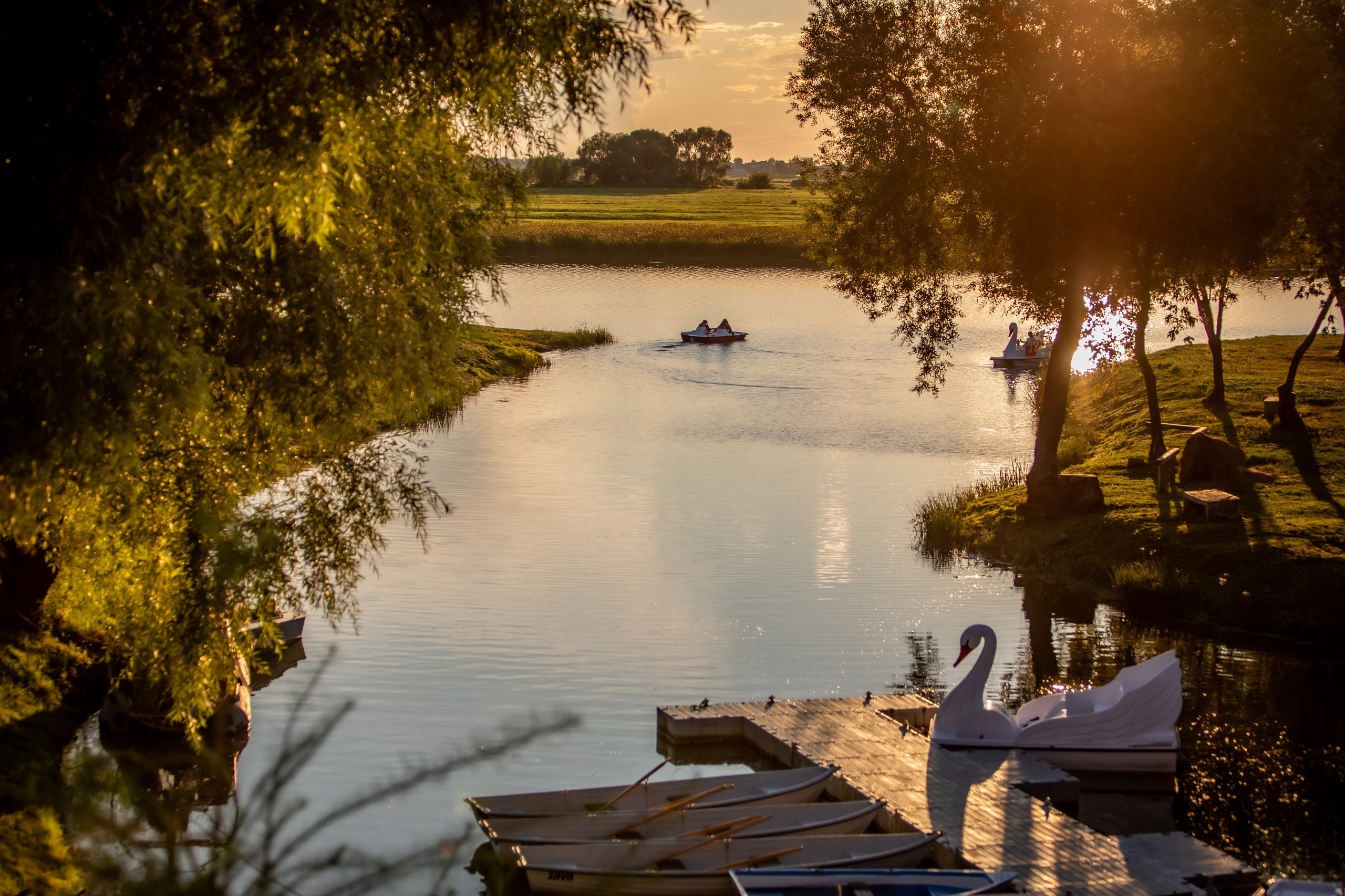 Рязань, август 2024. Фотограф Сергей Ловкий