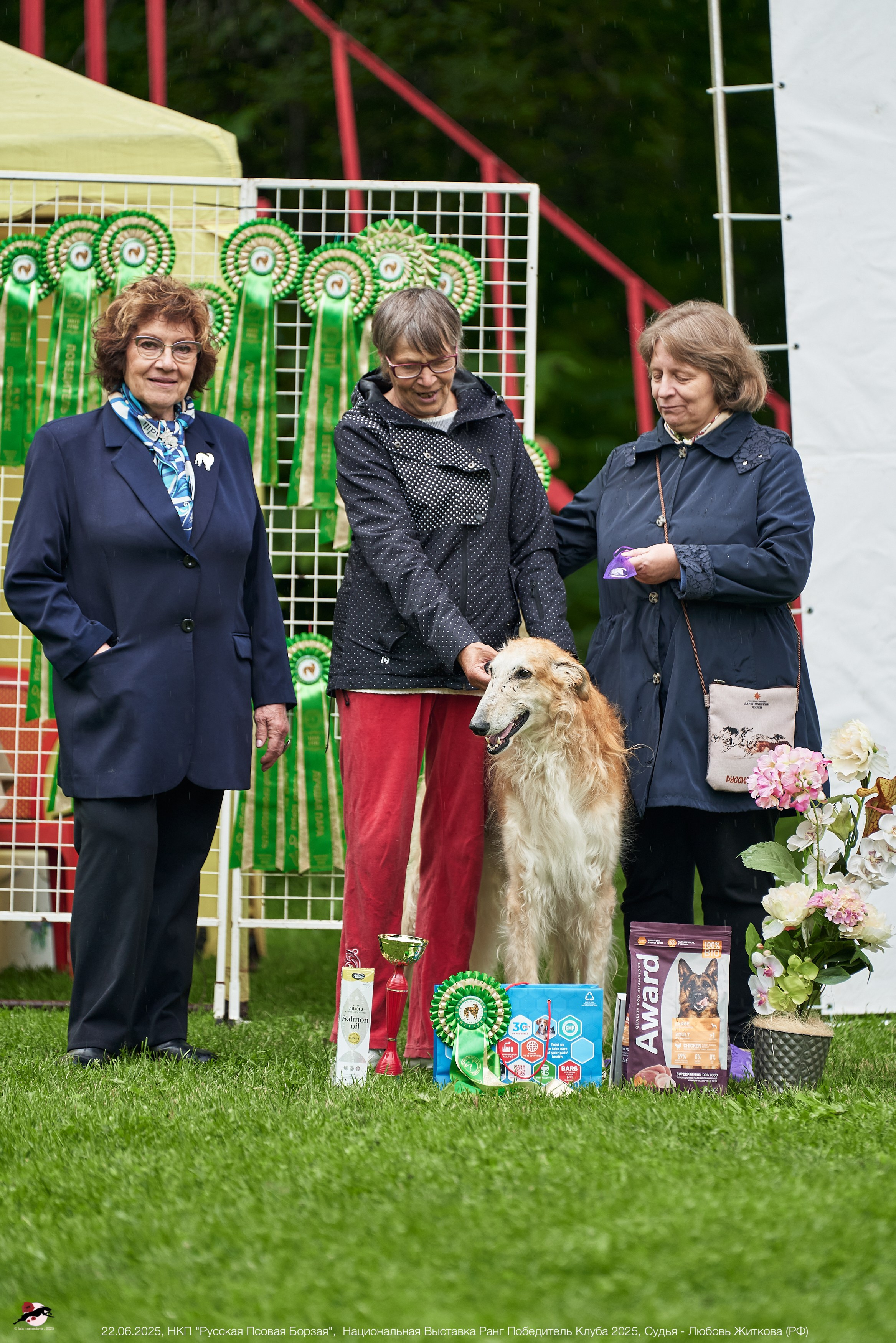 22.06.2025 | Национальная Выставка НКП "Русская Псовая Борзая"