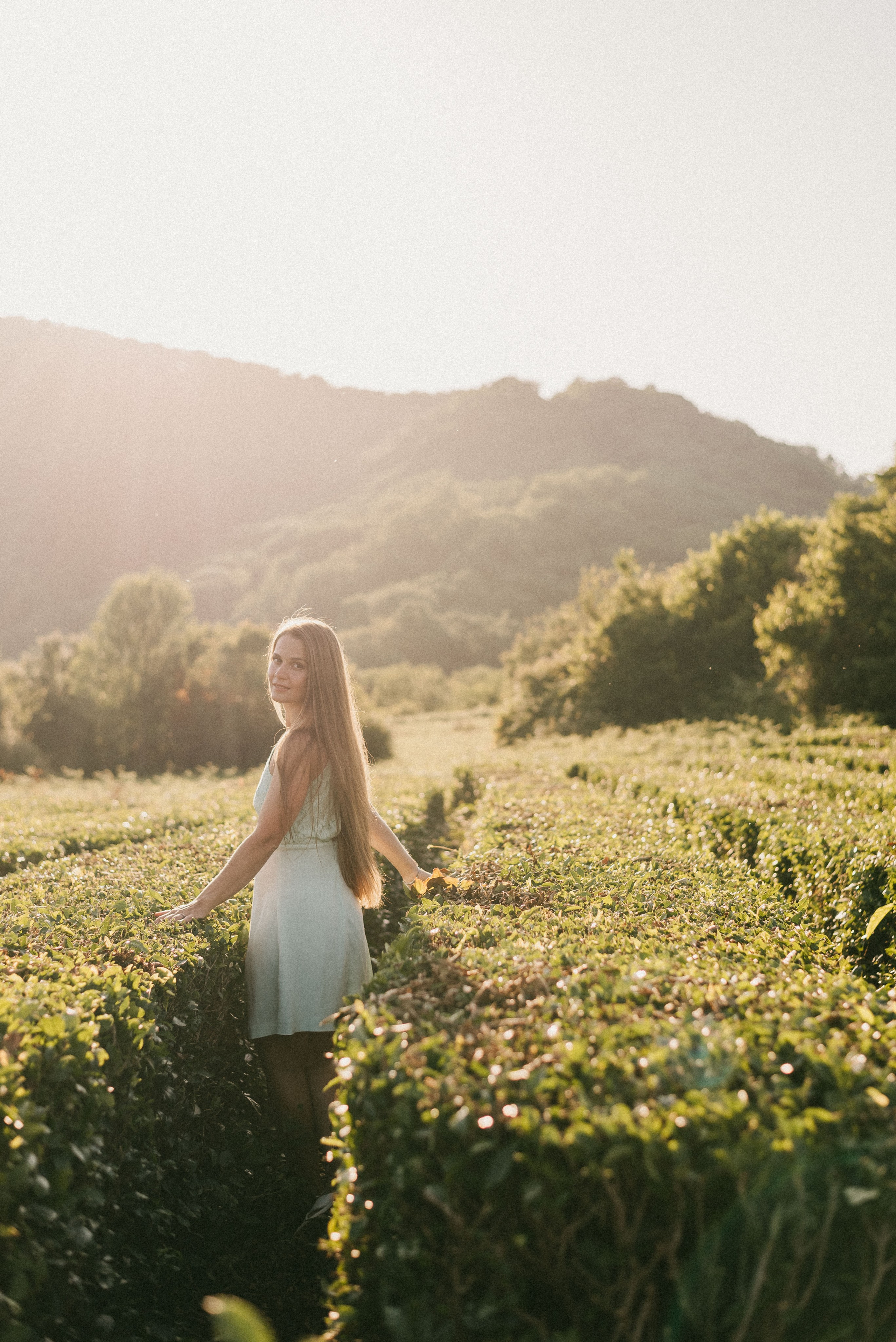 Фотосъемки в горах на чайных плантациях Сочи. Фотограф в Сочи — Маргарита Поганова