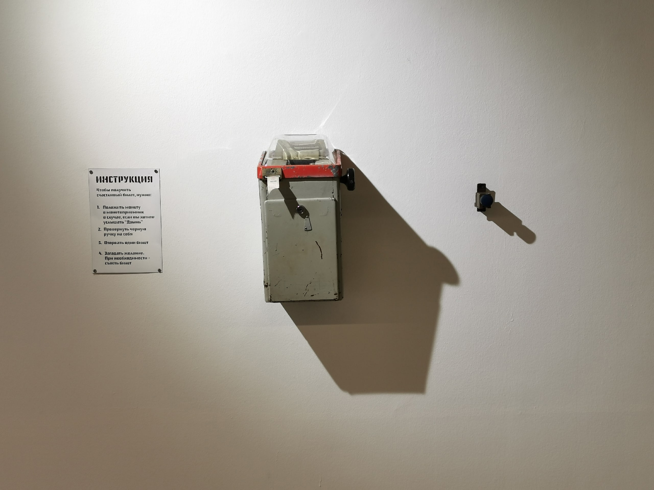 Omnipotent control. Evgenia Kashaeva