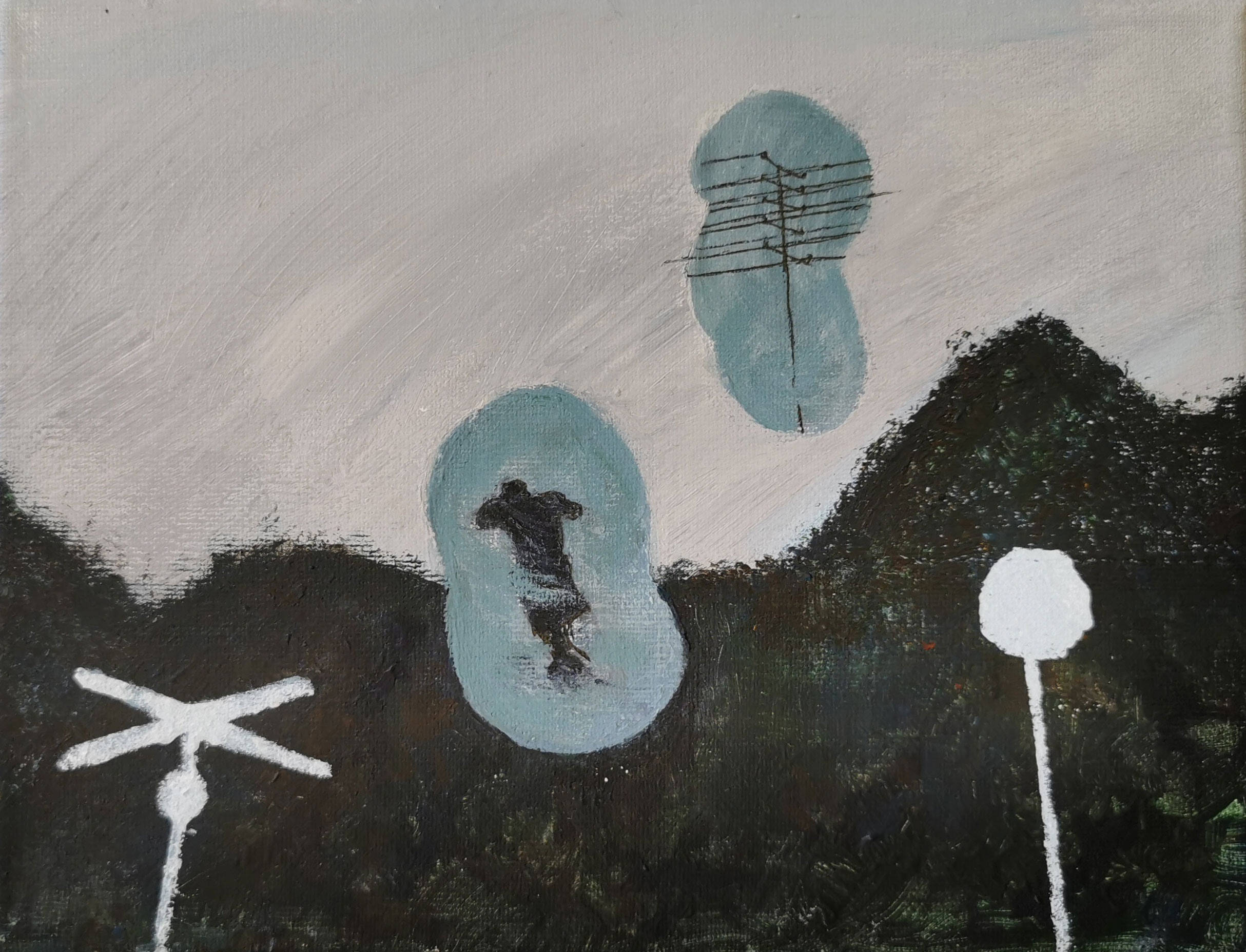 失踪者. 叶夫根尼娅·卡沙耶娃