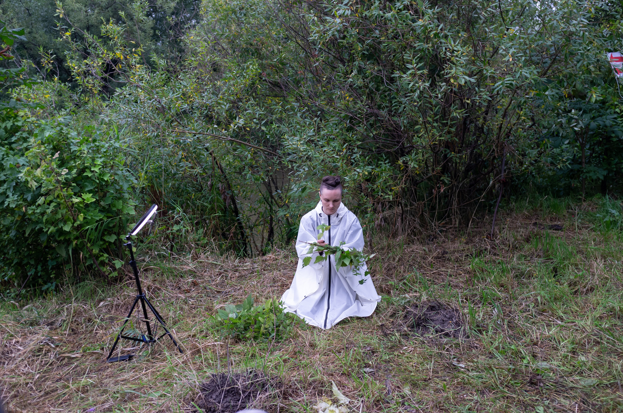 Красненькая биеннале 2025