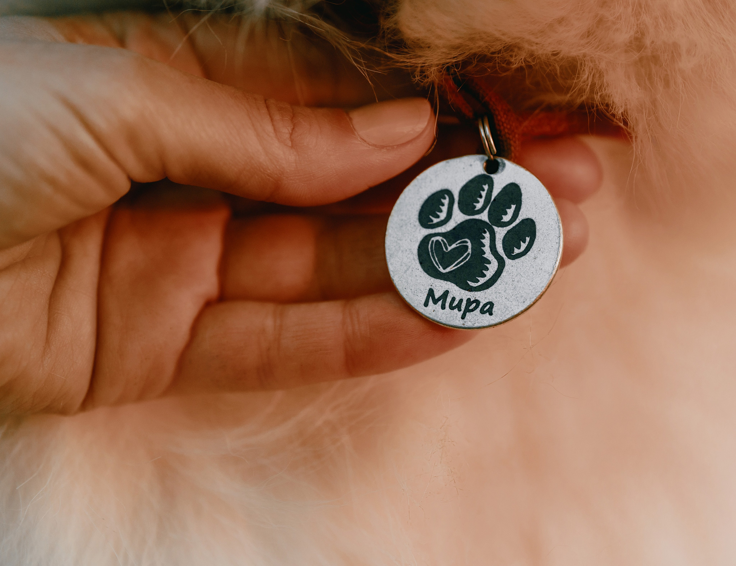 Съемка животных в Петрозаводске. Фотограф Варвара Ермоленко