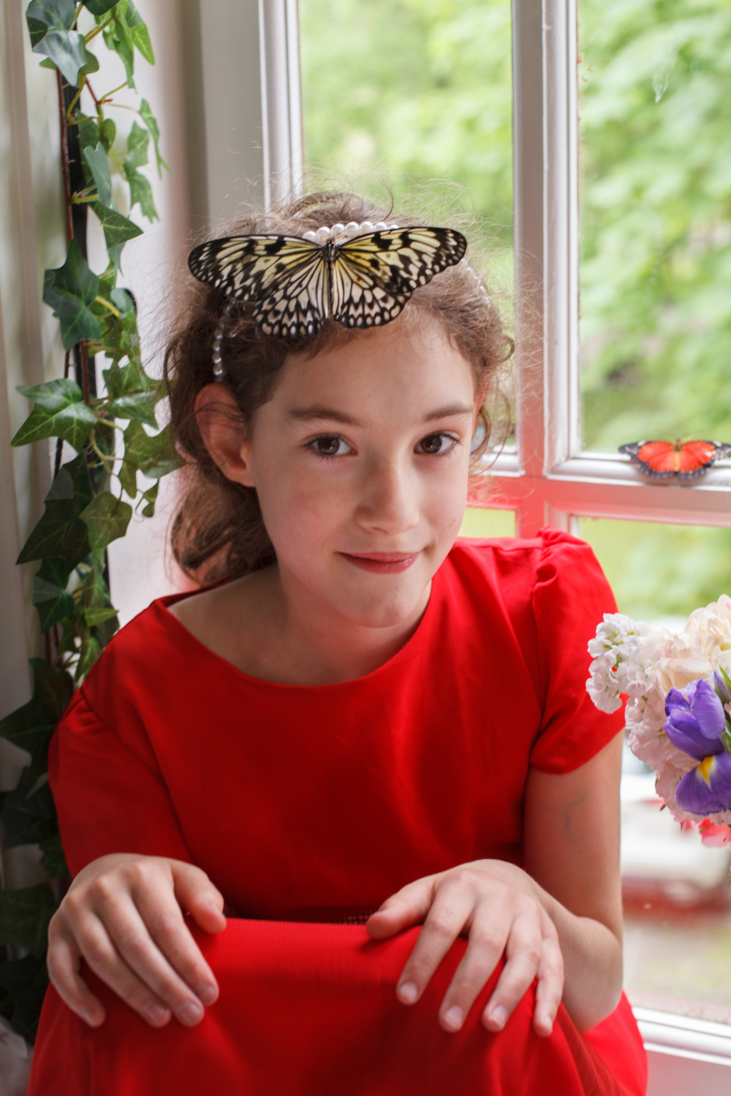 Бабочки и радость. ФОТОГРАФ ЛИЛИЯ БИЧУРИНА