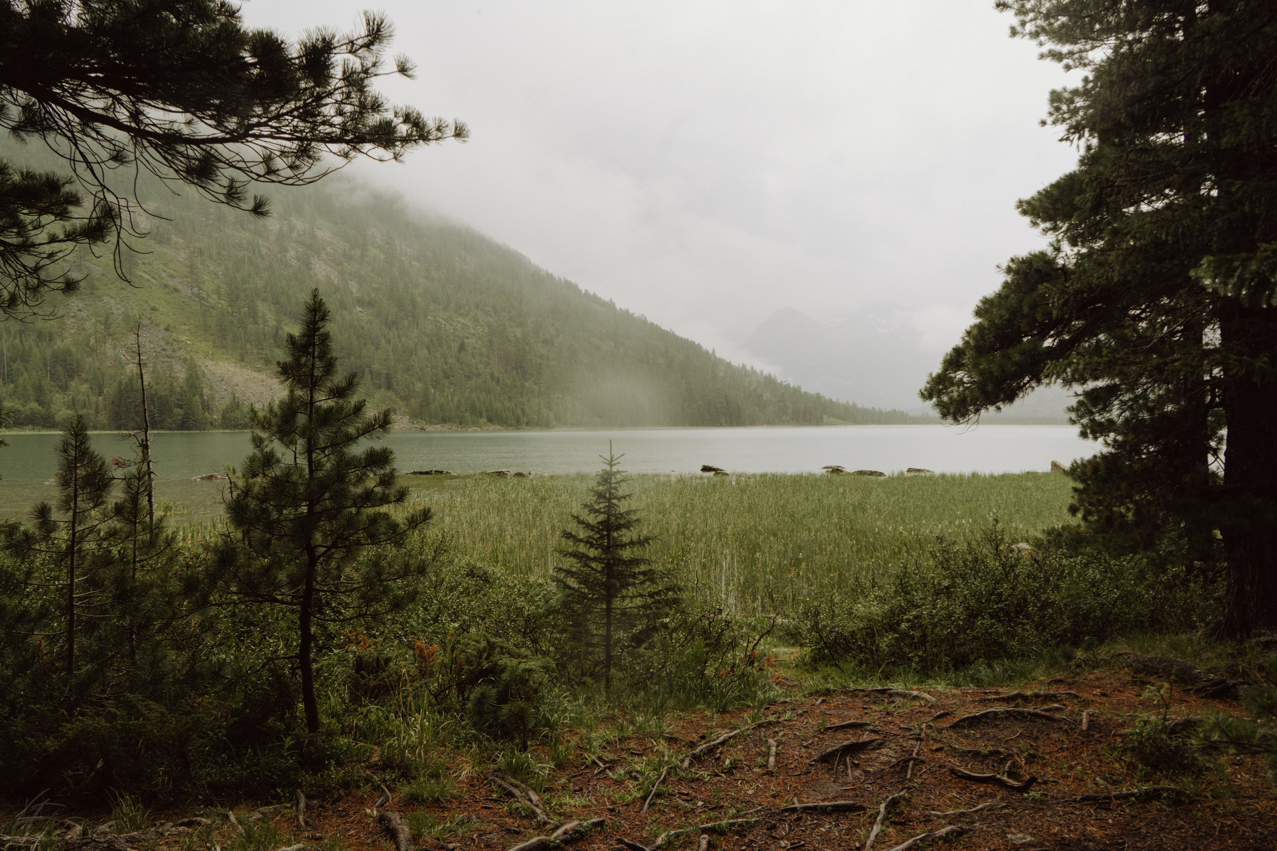 Алтай 2025. Лиза Фирстова