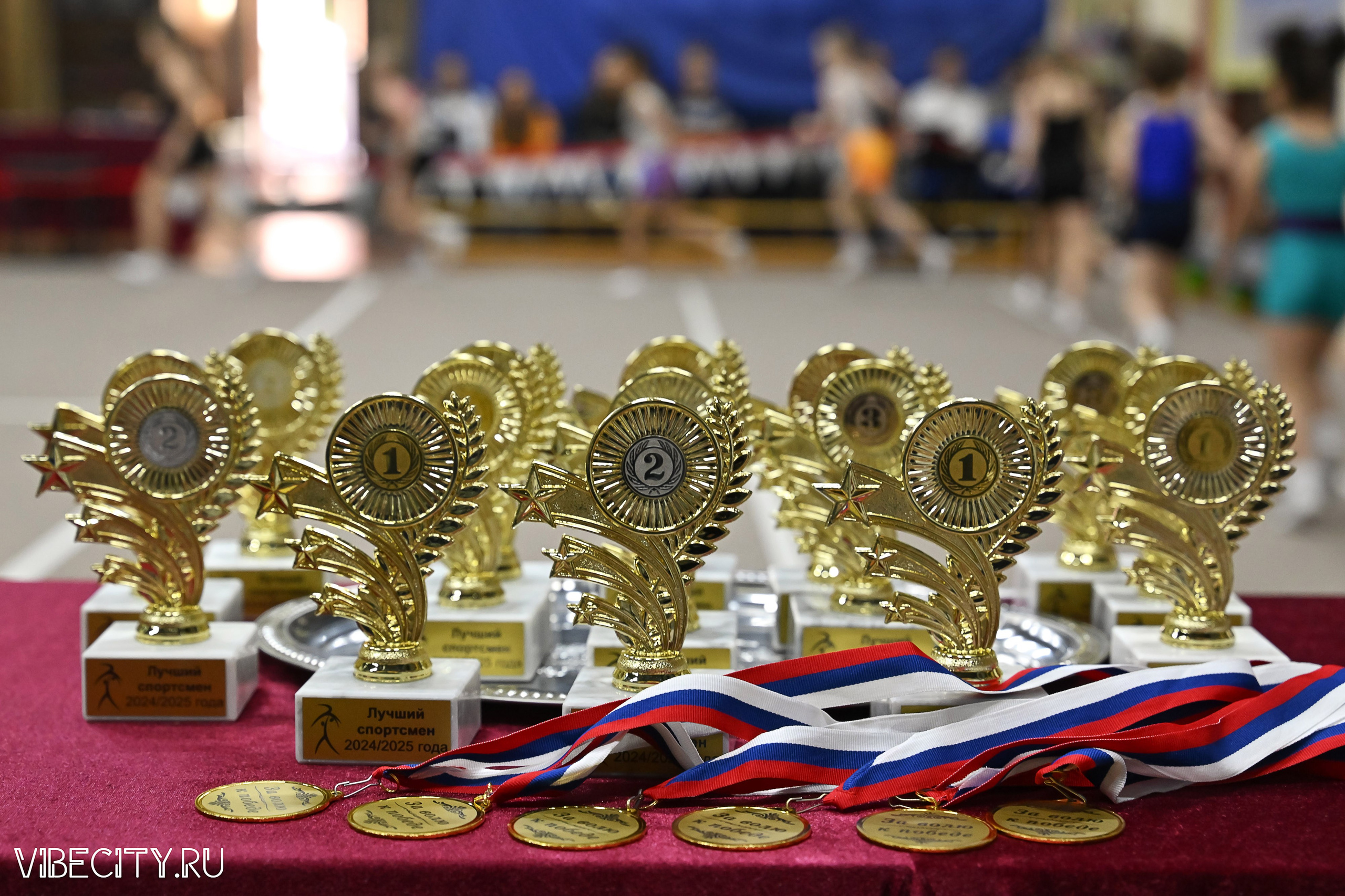 Контрольная тренировка по спортивной гимнастике. VIBECITY.RU Вайб Сити Ру Фоторепортажи Фотоотчеты Калининград