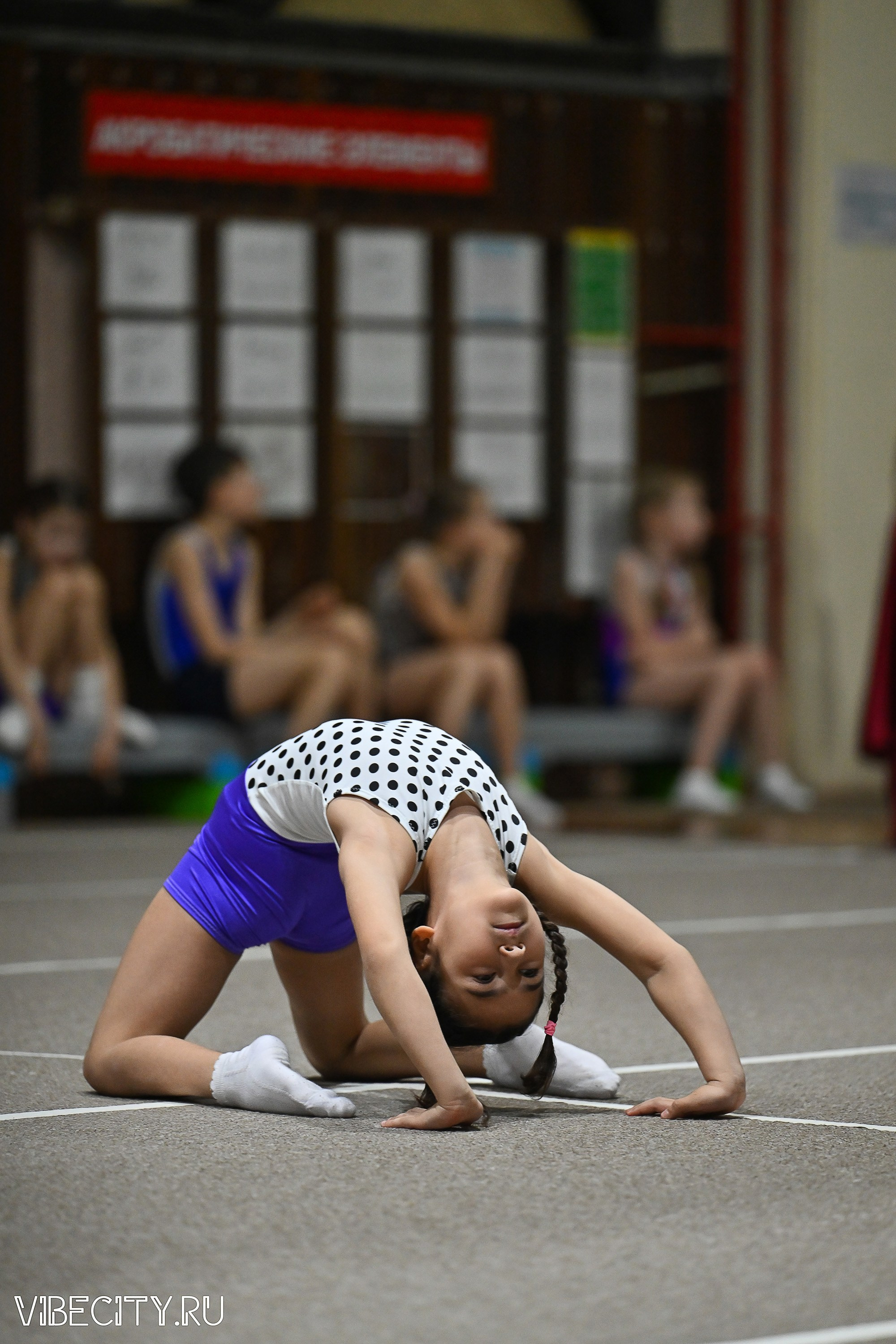 Контрольная тренировка по спортивной гимнастике. VIBECITY.RU Вайб Сити Ру Фоторепортажи Фотоотчеты Калининград