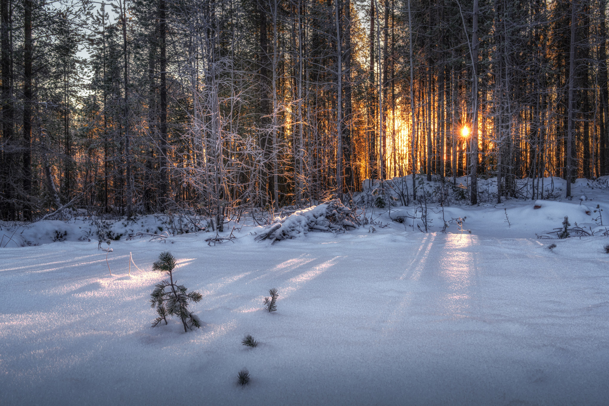 Предзимье на Кольском