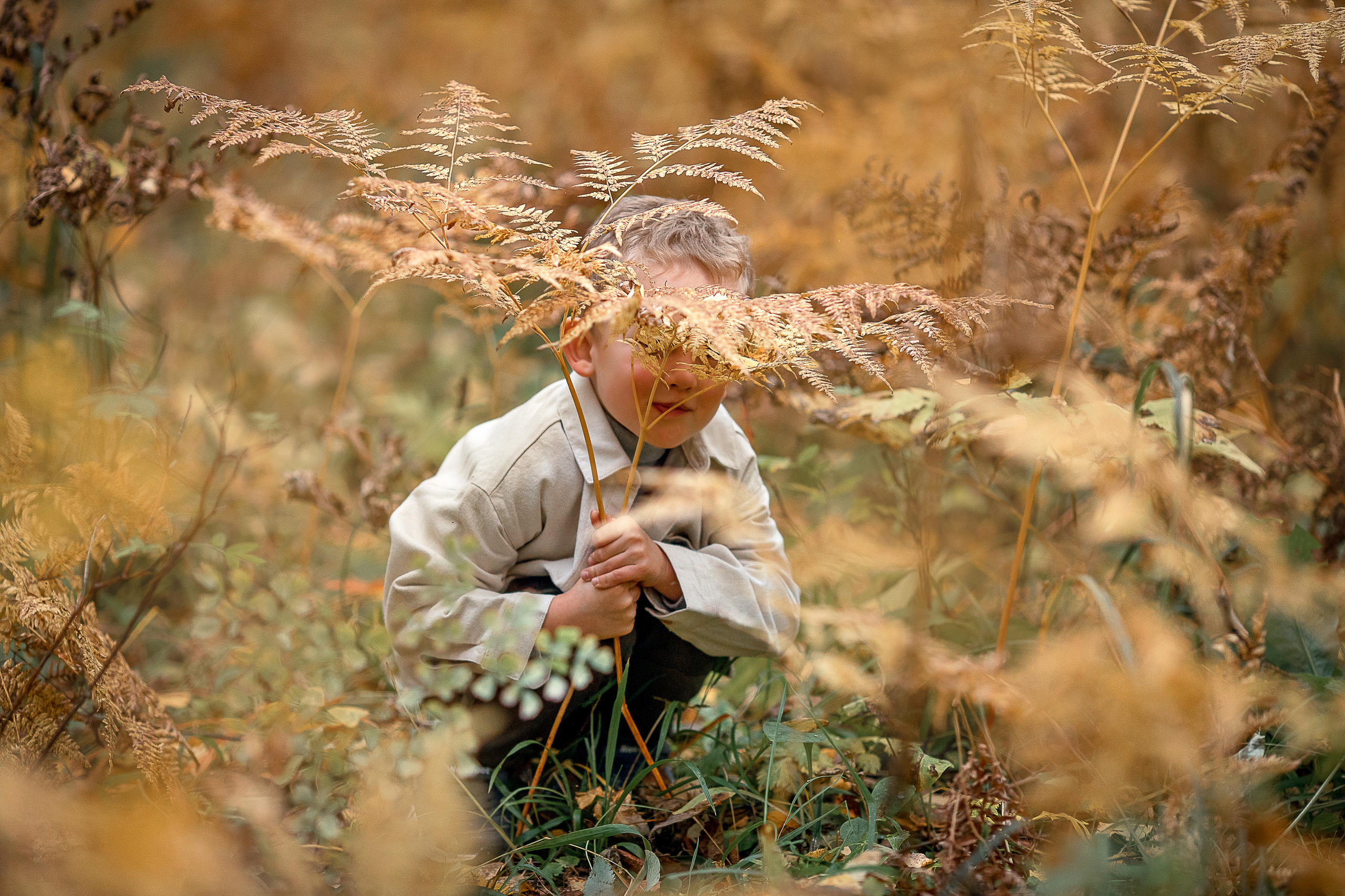 В осеннем лесу. Детский и семейный фотограф в Красноярске Елена Коровкина