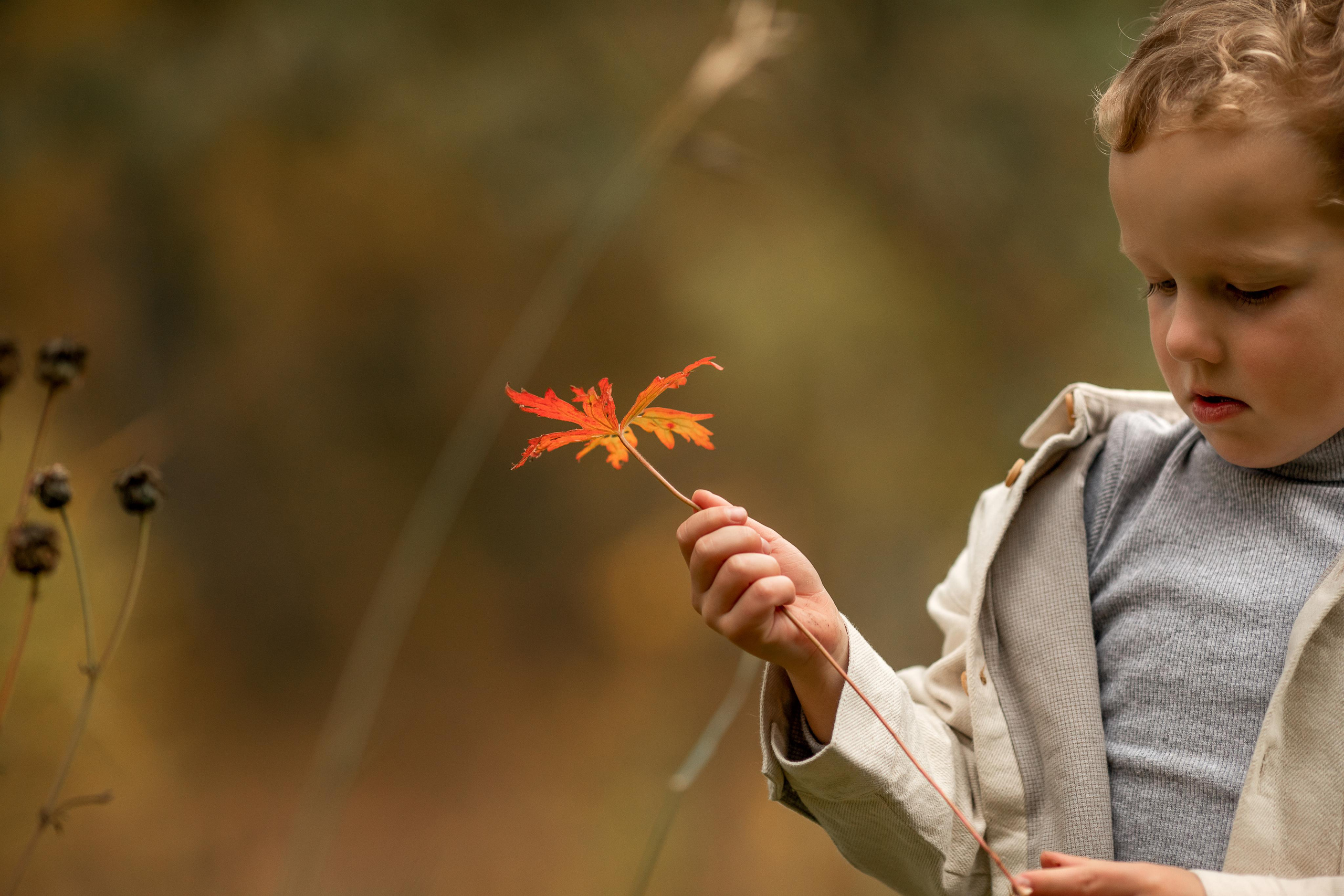 В осеннем лесу. Детский и семейный фотограф в Красноярске Елена Коровкина