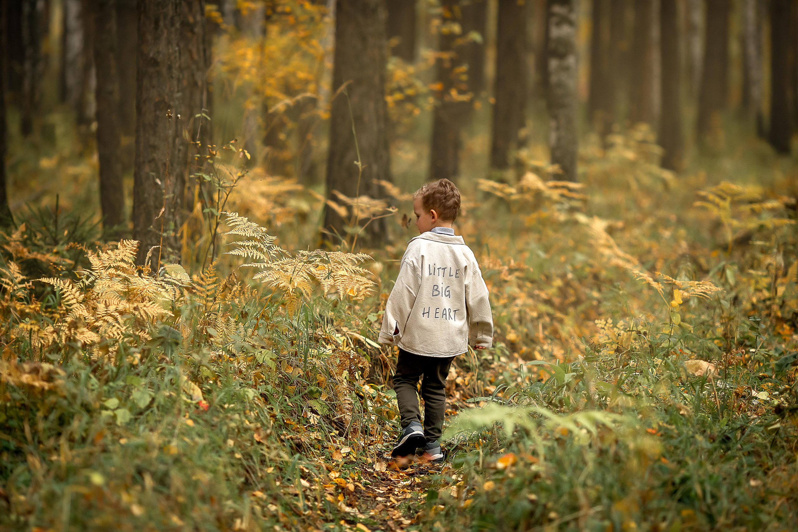 В осеннем лесу. Детский и семейный фотограф в Красноярске Елена Коровкина