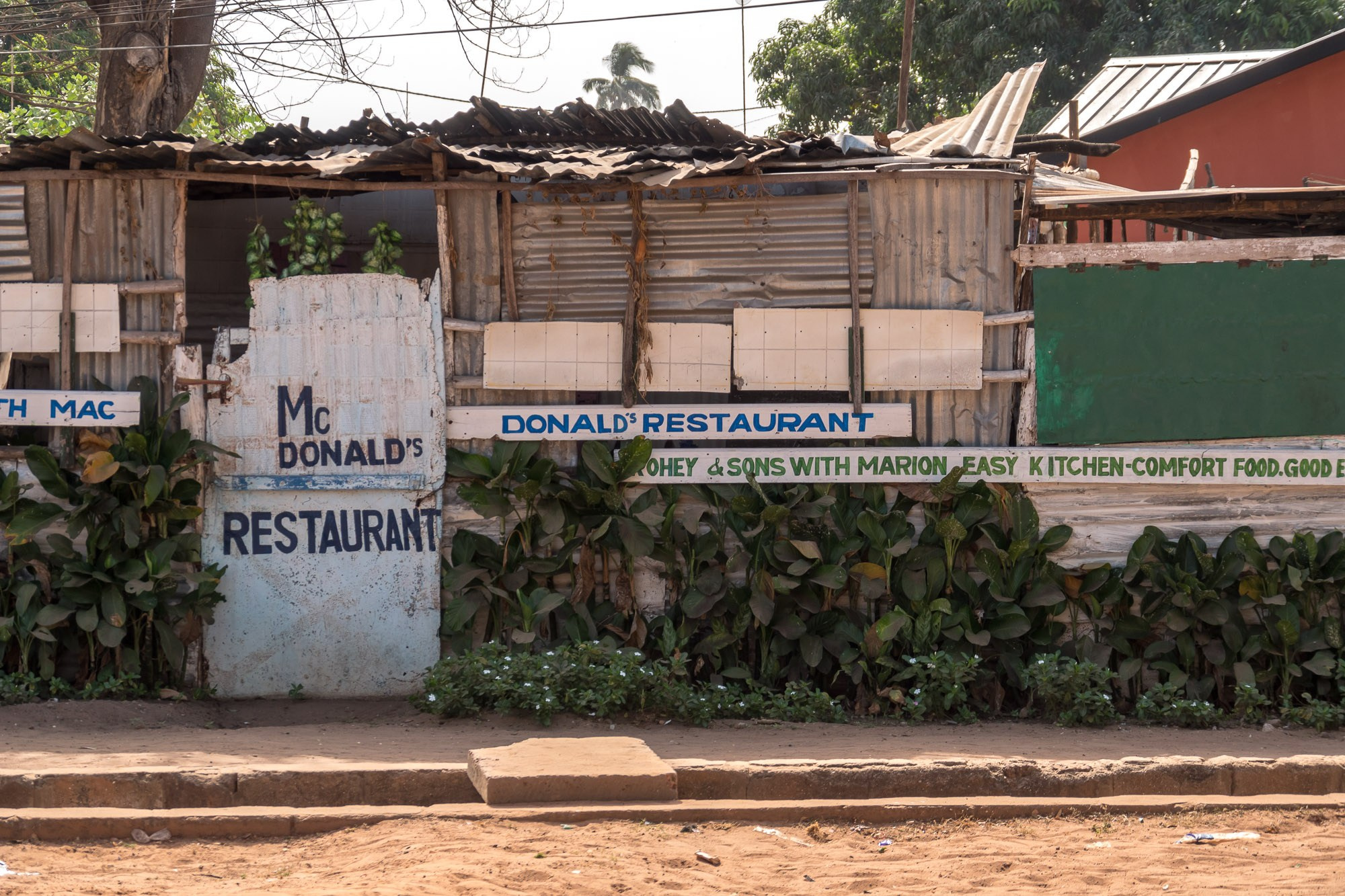 Путешествие по Гамбии (Западная Африка).Traveling in Gambia (West Africa.). Фотограф Алексей Скоробогатько