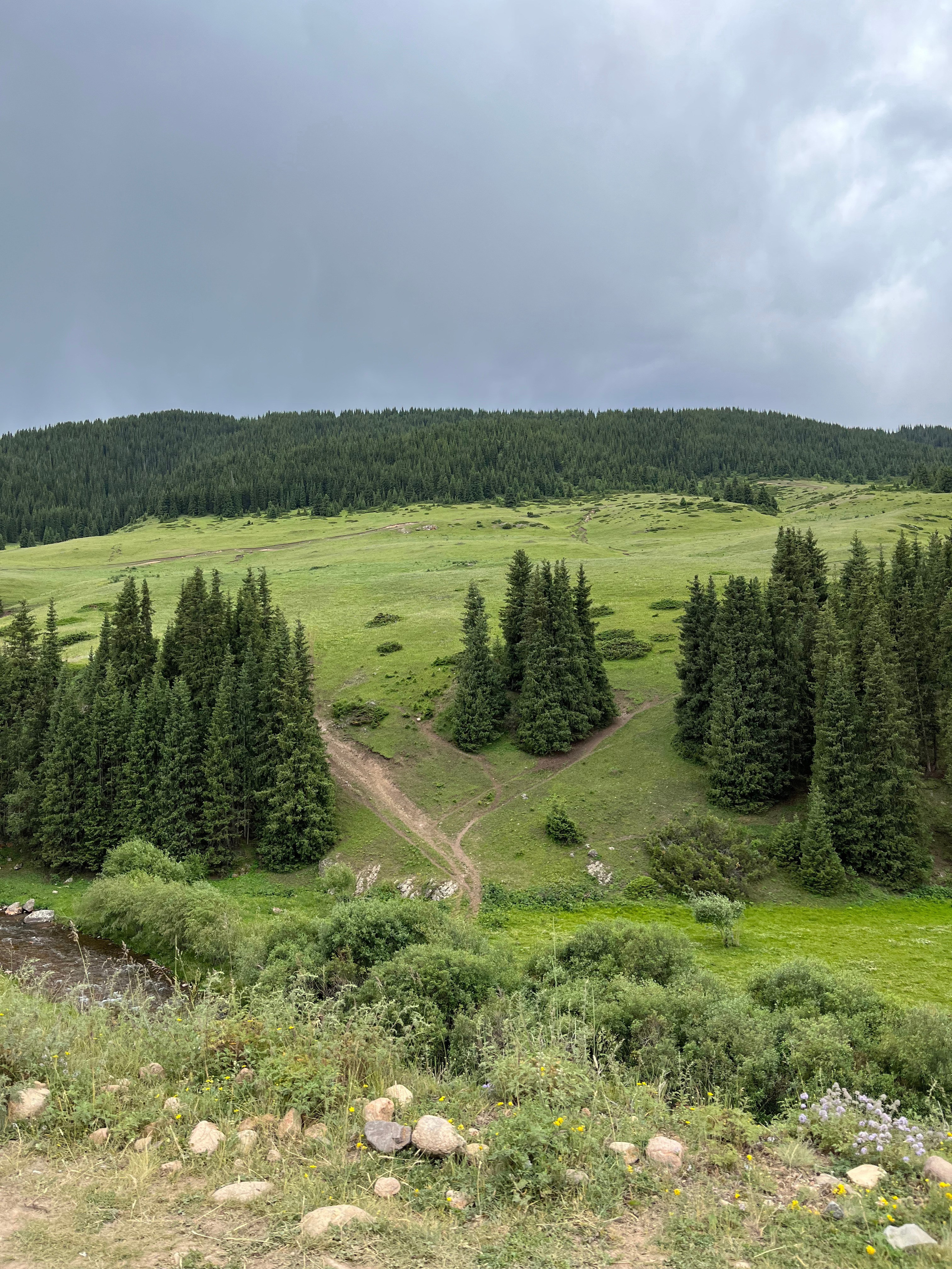 Плато Ассы рядом с Алматы, Казахстан. Где находится, как доехать, фото и видео зимой и летом