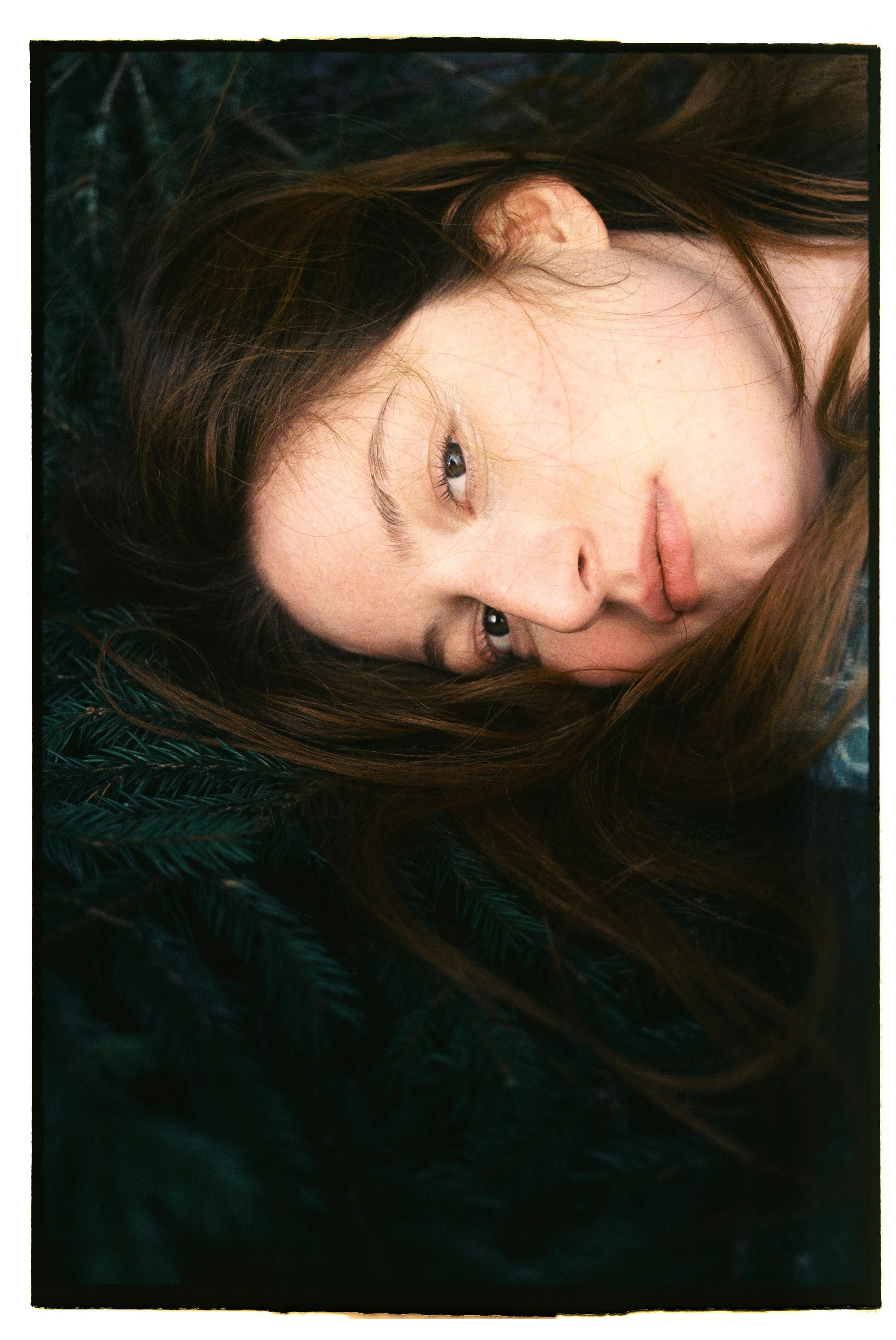 Док портрет