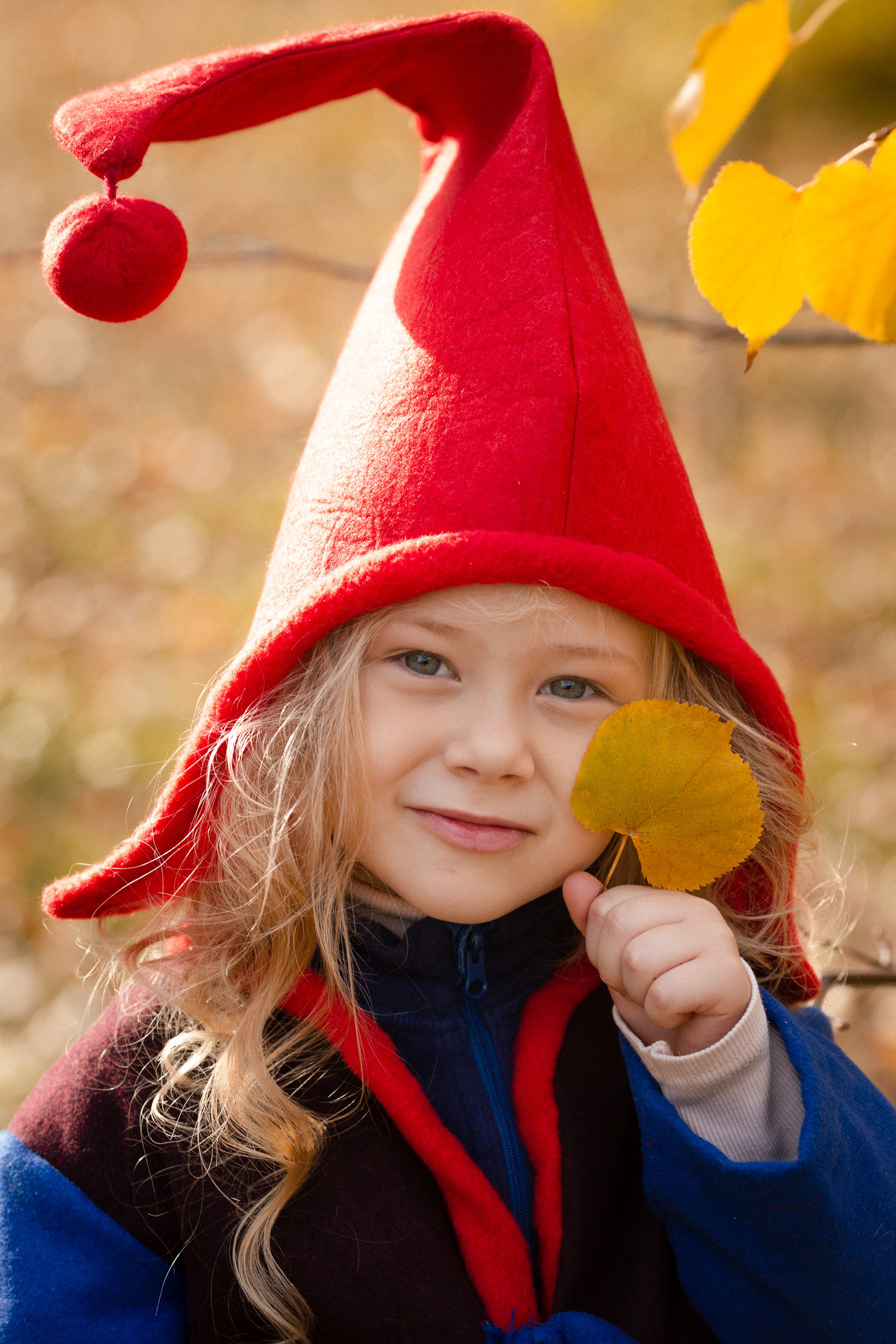 Лесные гномы