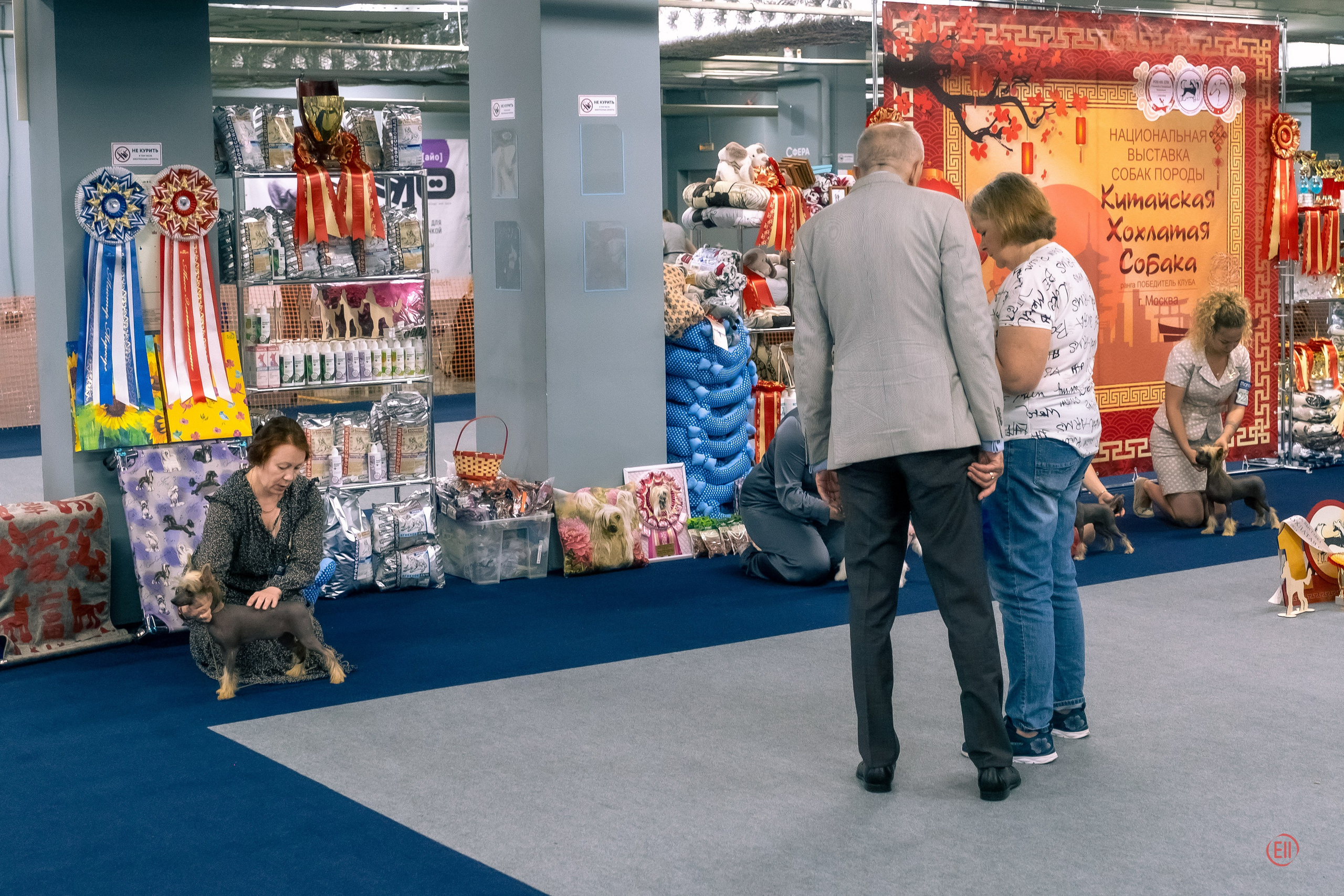 Ashantal Emmanuel Poale Ell. Chinese Crested Dog Kennel Poale Ell