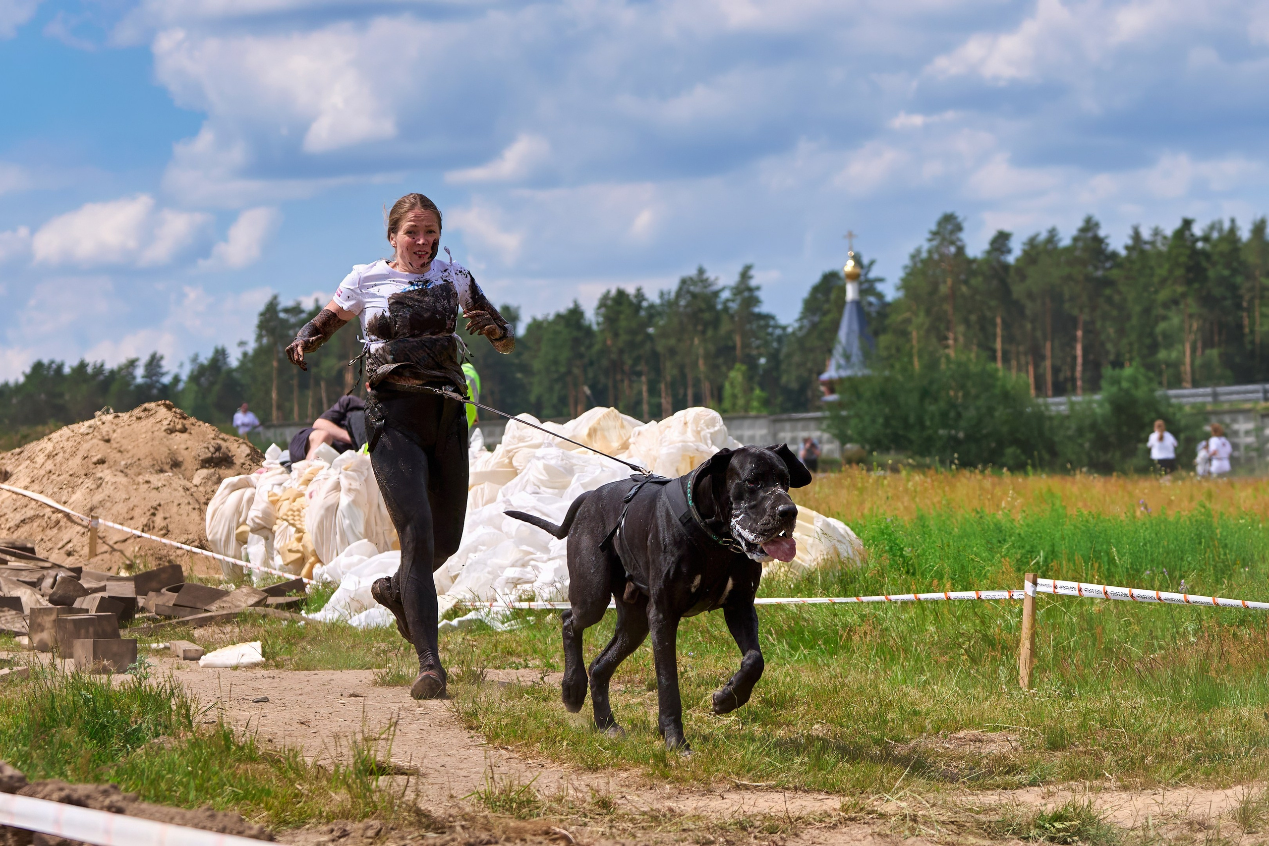 Хвостатый драйв — 2024. Фотограф-анималист Михаил Манухин