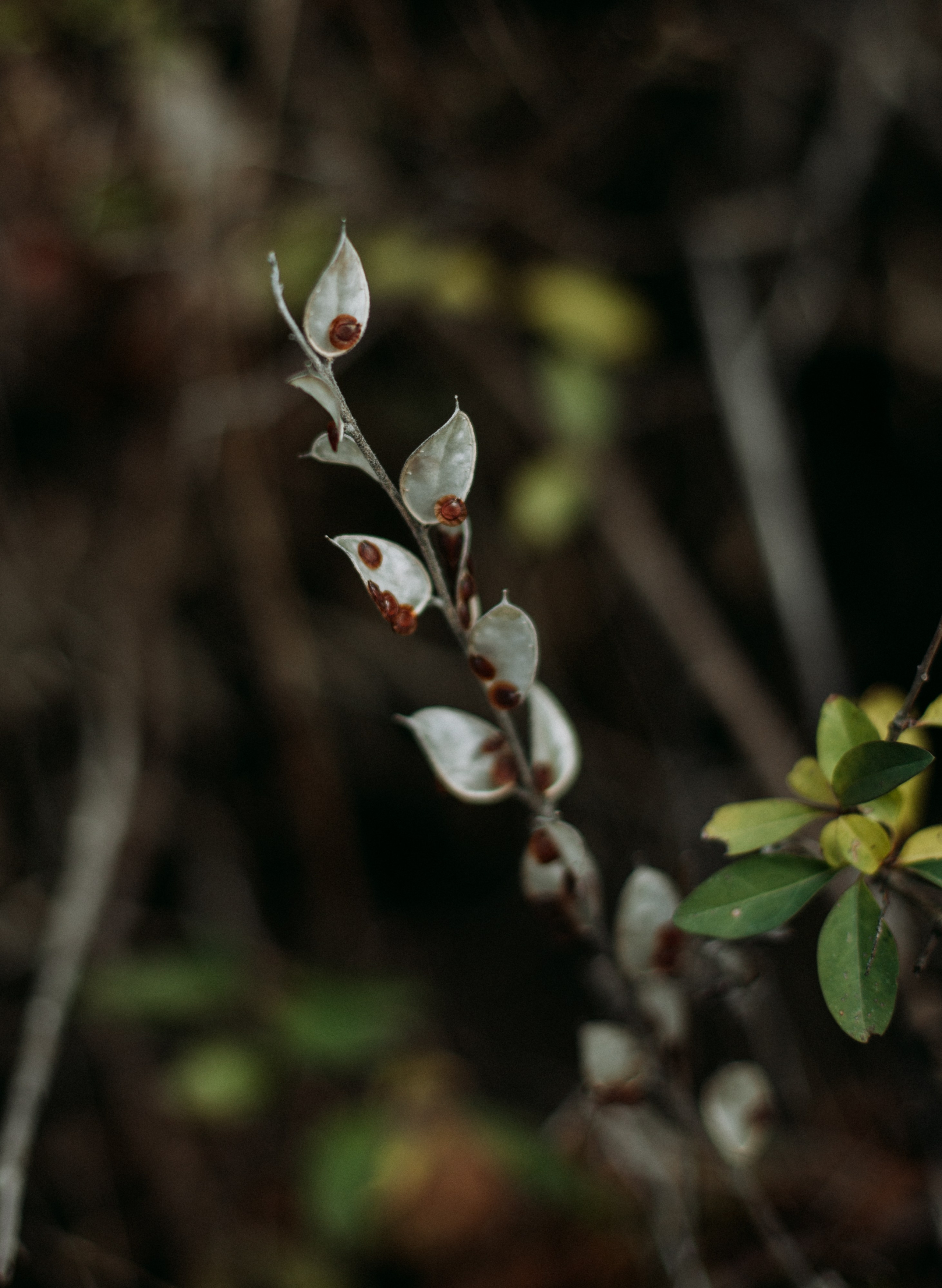 Дороги земли ветров. Портретный фотограф в Москве и Геленджике Кирилл Вахитов
