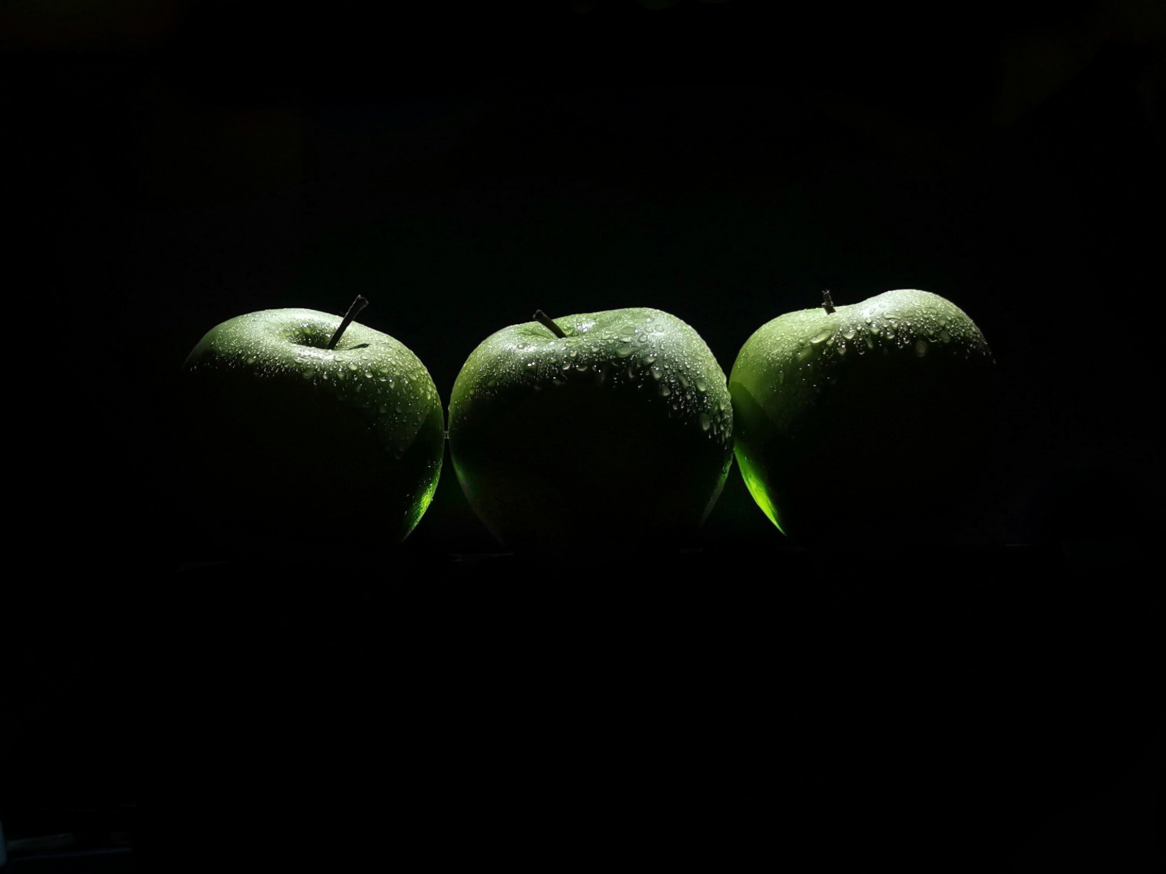 Курс «С нуля»