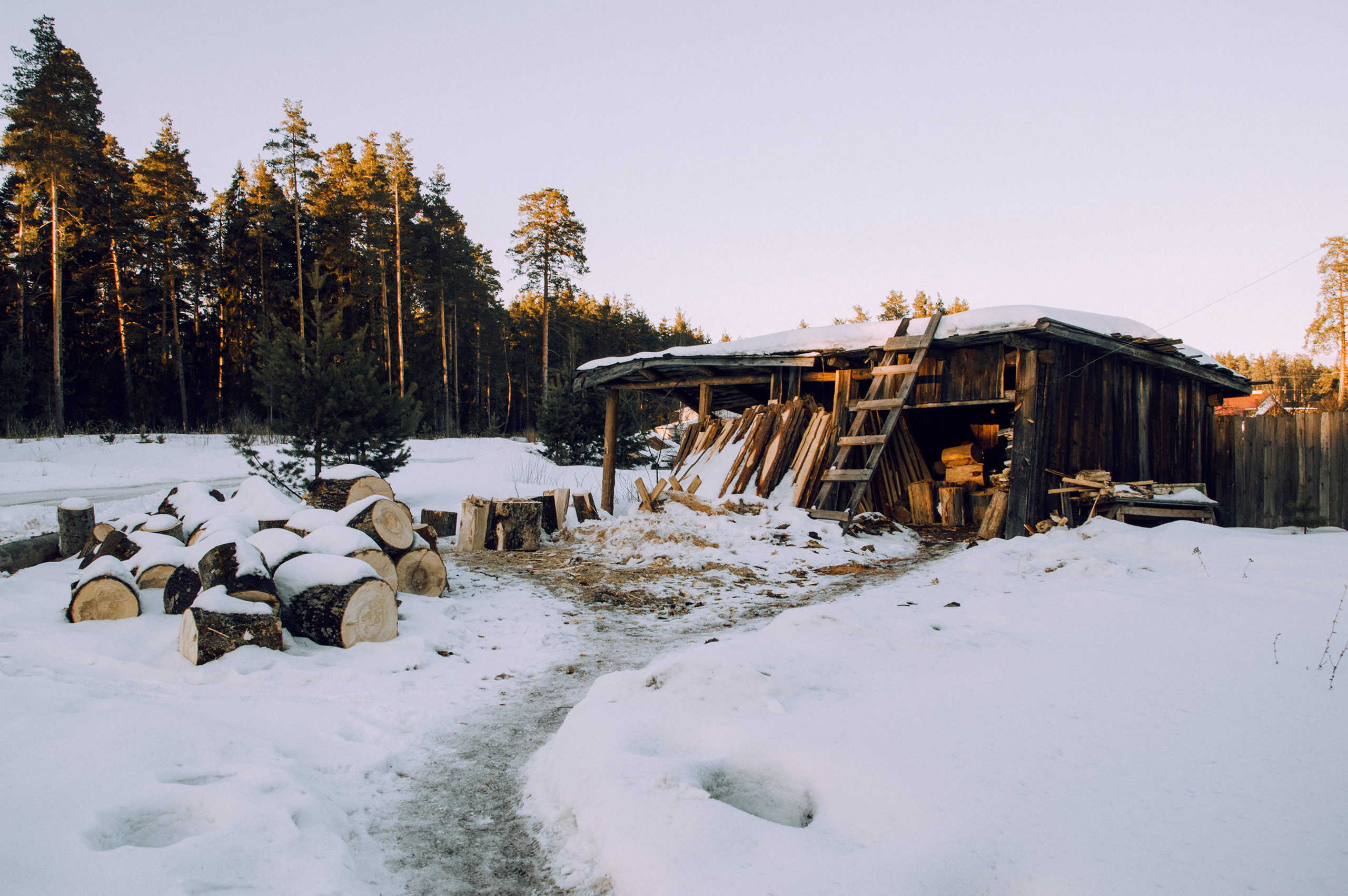 Света и Дима. Свадебный и портретный фотограф в Нижнем Новгороде и Нижегородской обл