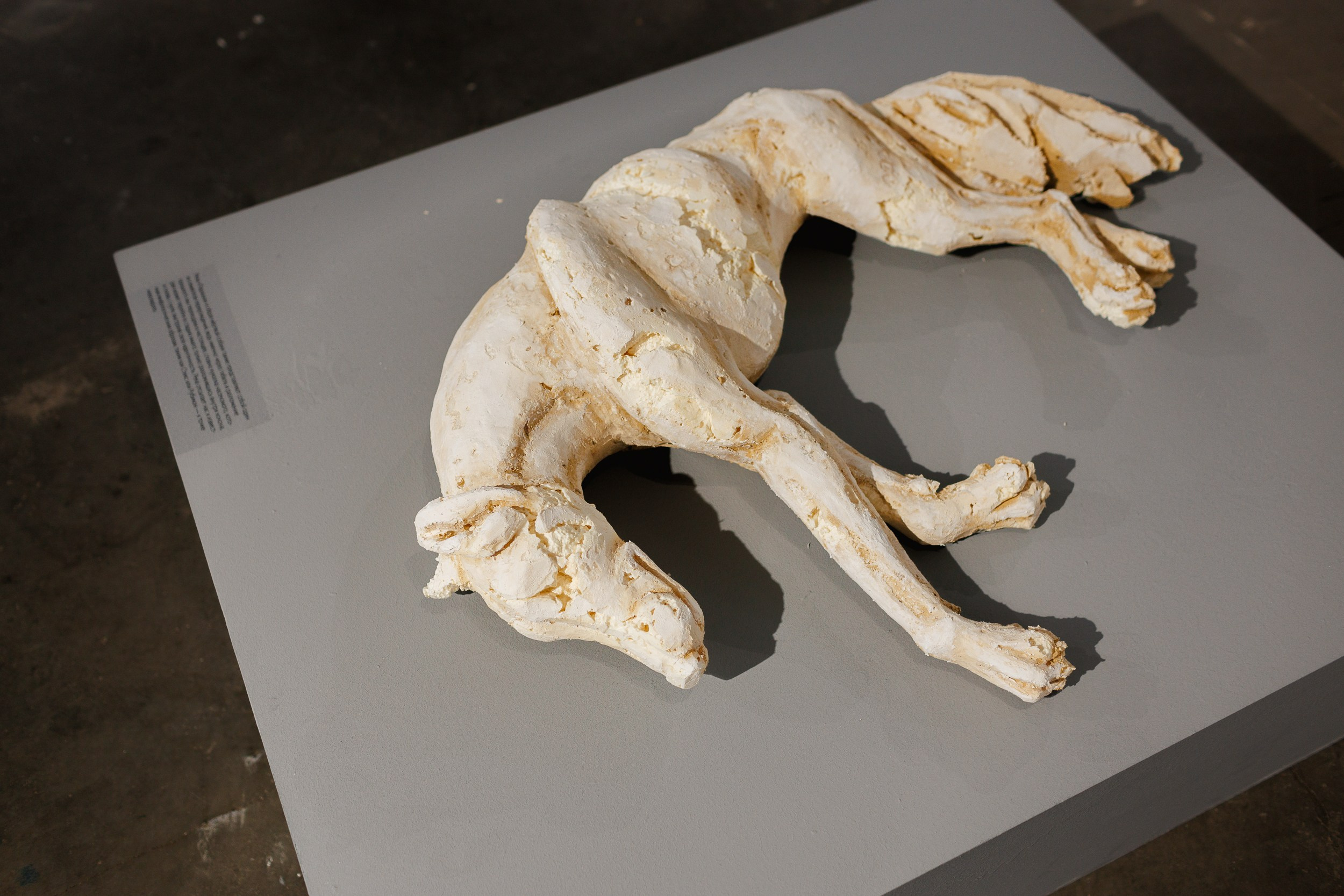 Жив был пёс. Собачий художник Поля Стриж