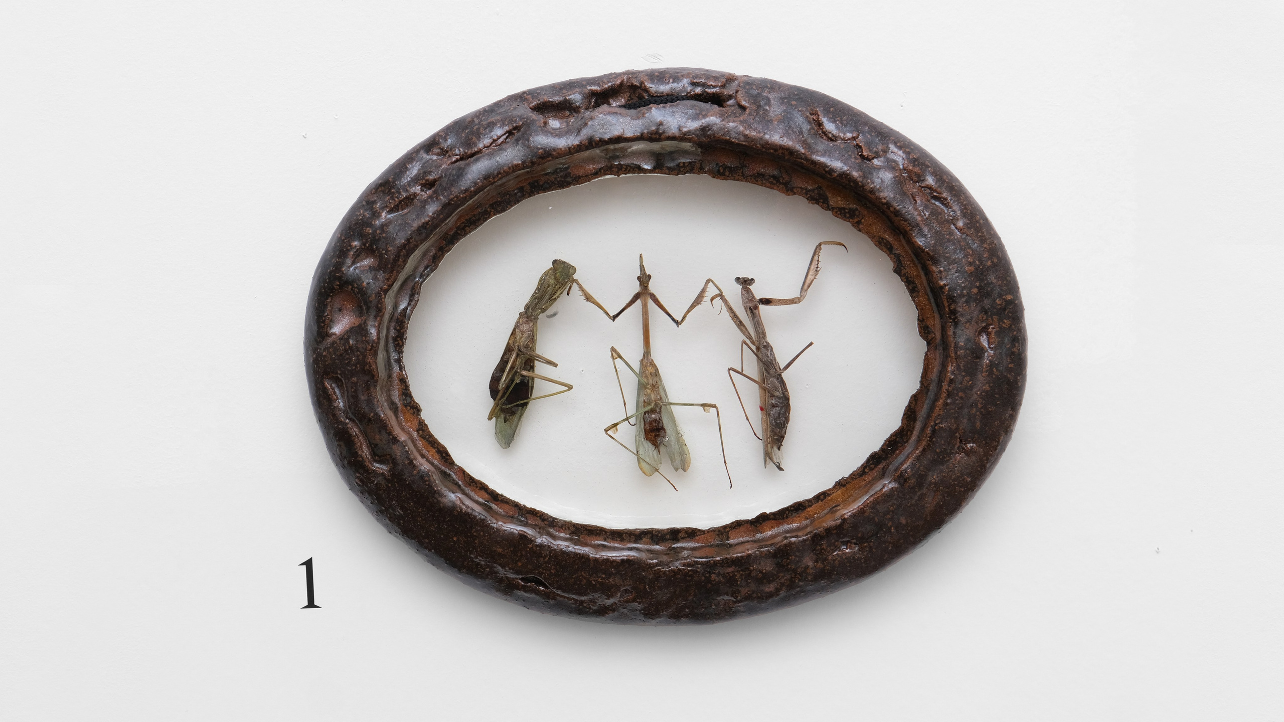 Маленькие и милые. Илья Крончев-Иванов