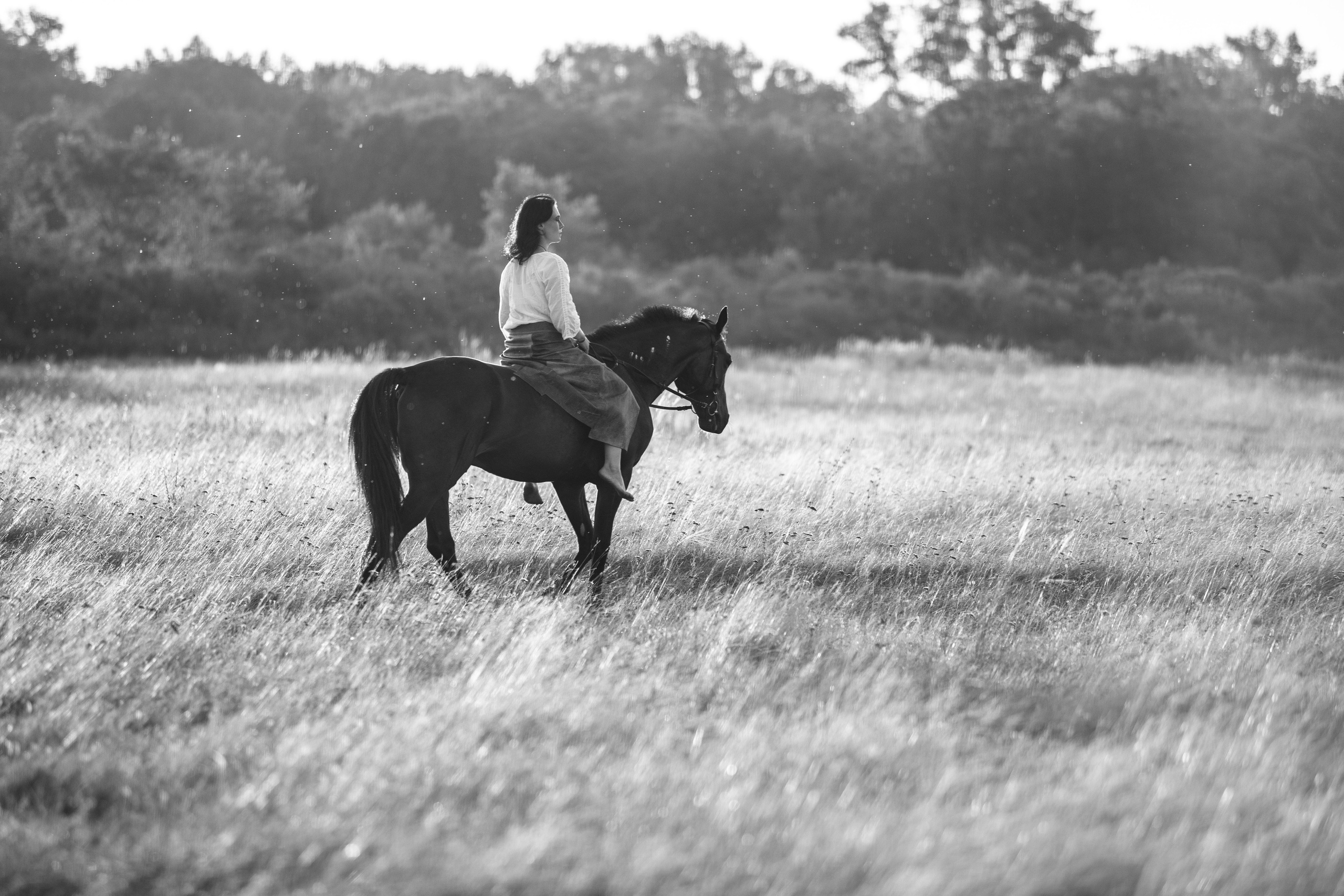 Фотосессия верхом. Фотограф на все случаи жизни: свадьбы, портреты, семейные и творческие съемки в Башкирии и городах региона