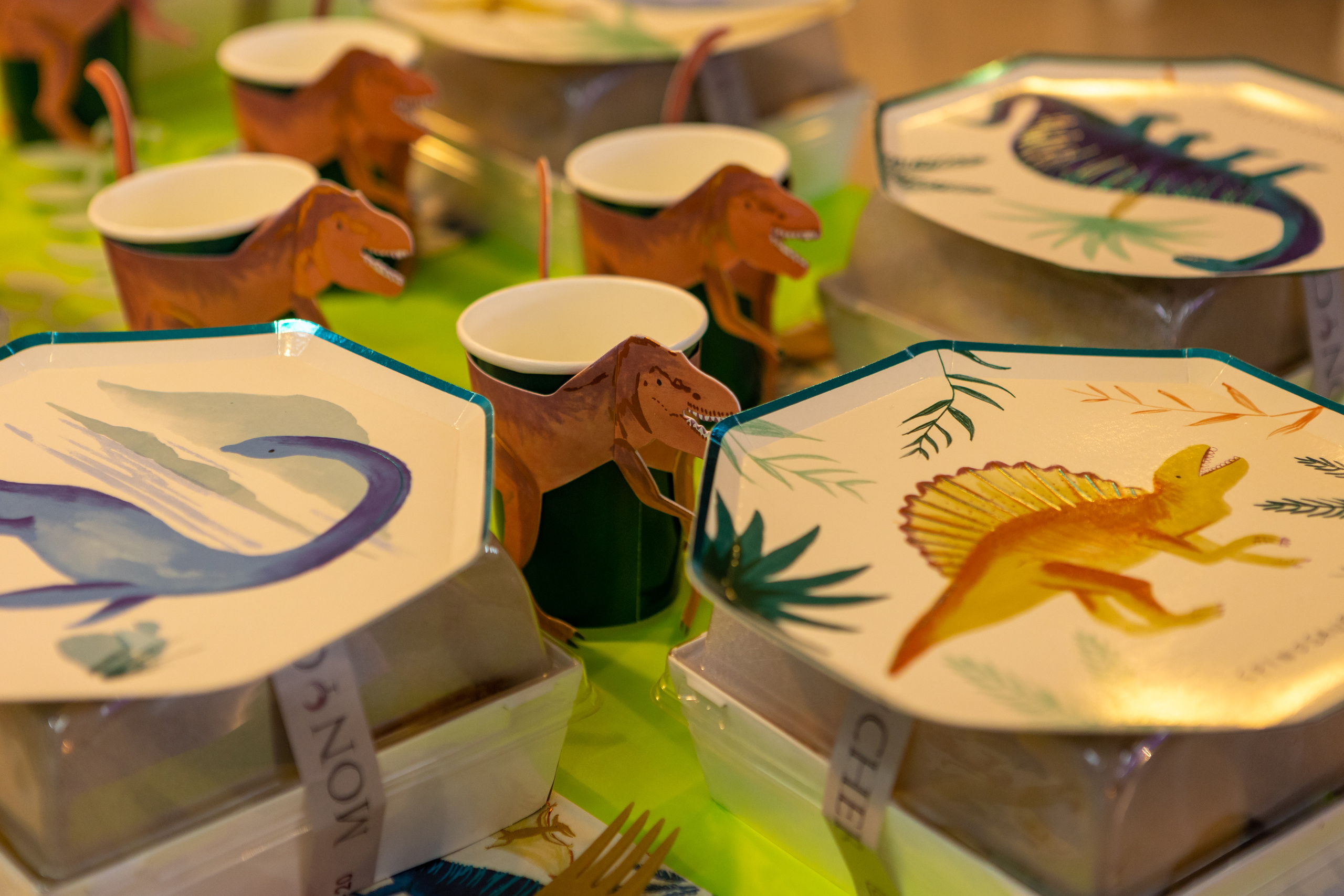 День Рождения Эрнеста. Фотограф в Оренбурге. Профессиональный фотограф