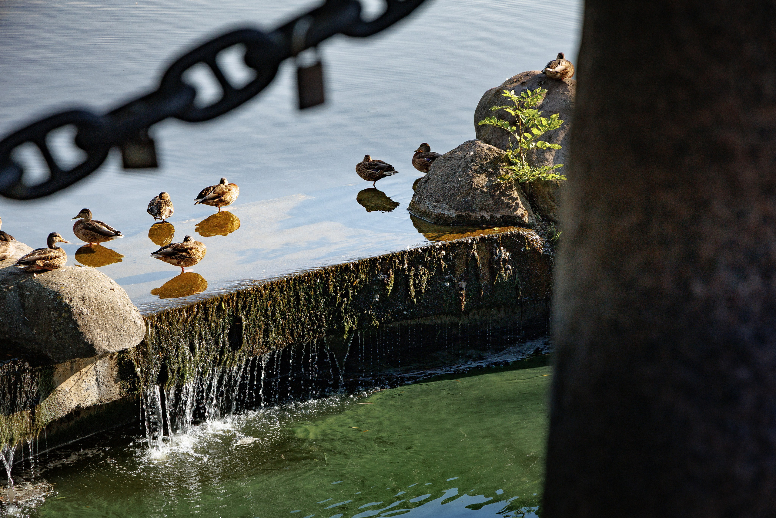Творческое. Фотограф в Минске Екатерина Тузова