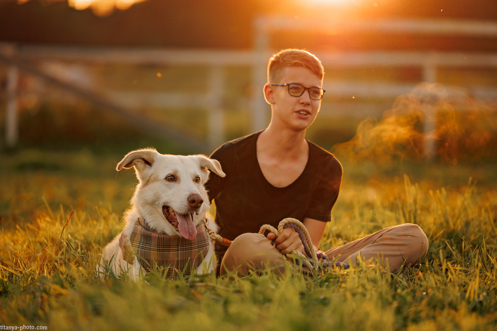 Фотограф собак, фотограф-анималист Аня Титова (Titanya). Москва