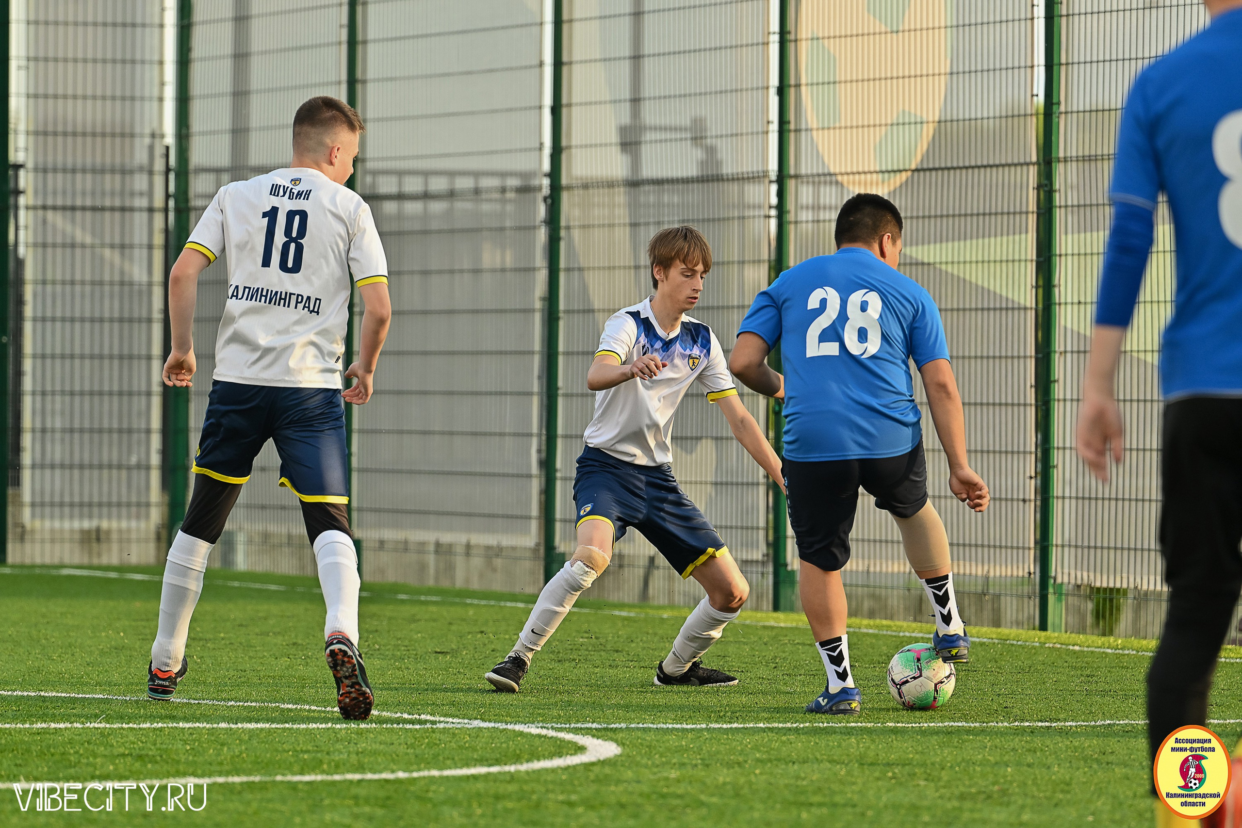 ИГРЫ МИНИ-ФУТБОЛЬНОЙ И КОРПОРАТИВНОЙ ЛИГИ. VIBECITY.RU Вайб Сити Ру Фоторепортажи Фотоотчеты Калининград