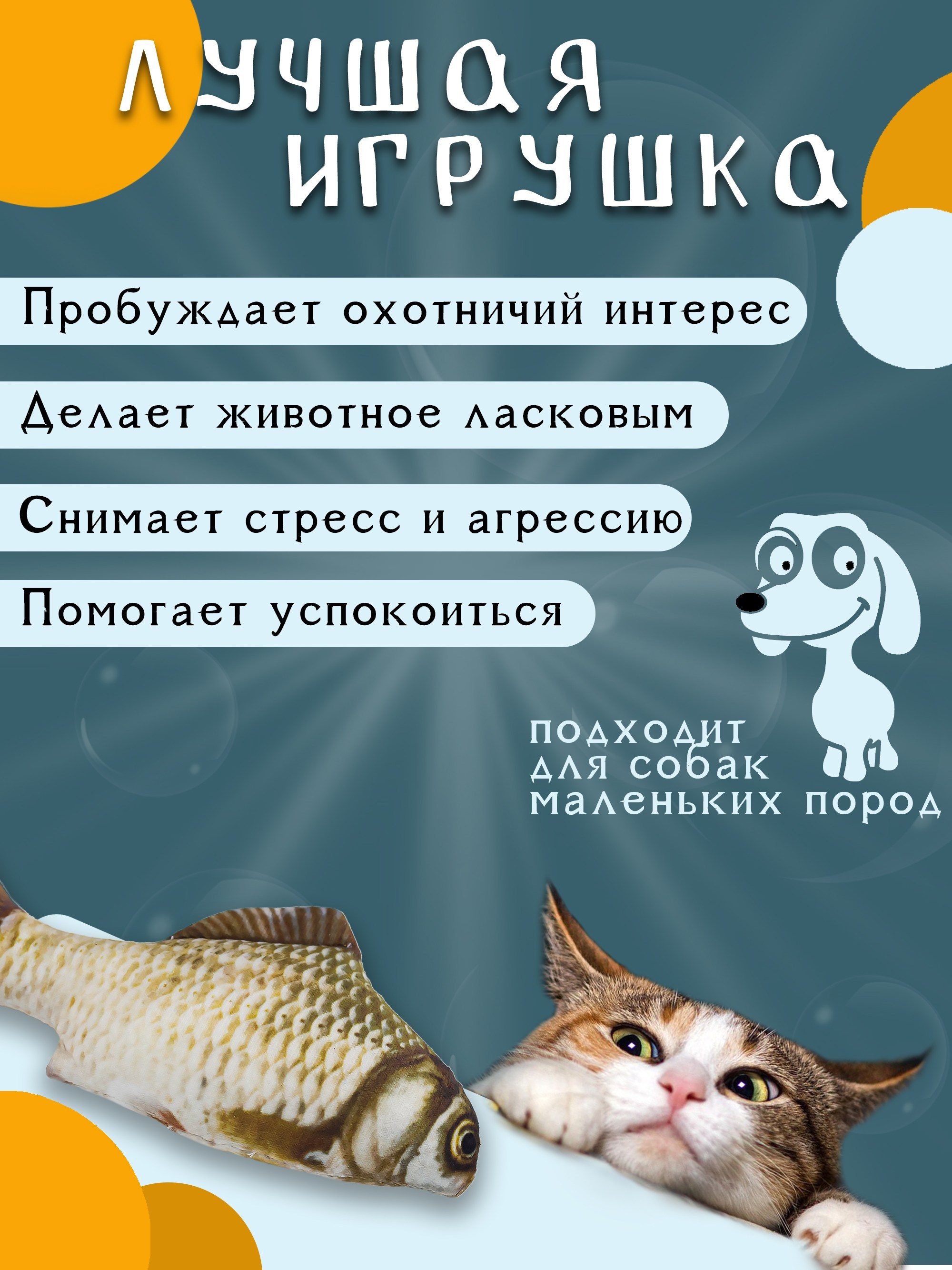 Инфографика. Предметный фотограф, маркетплейсы г. Оренбург Станкевич Тамара