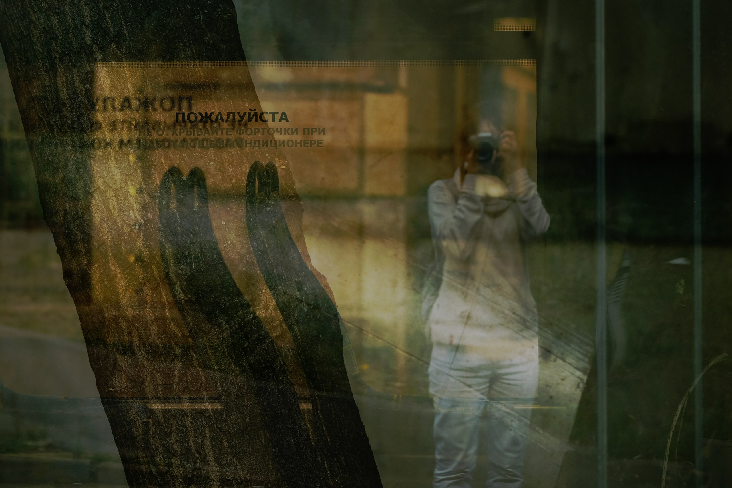 What Happened?. Margarita Rodionova — a contemporary lens-based artist currently working in Cancun, Mexico