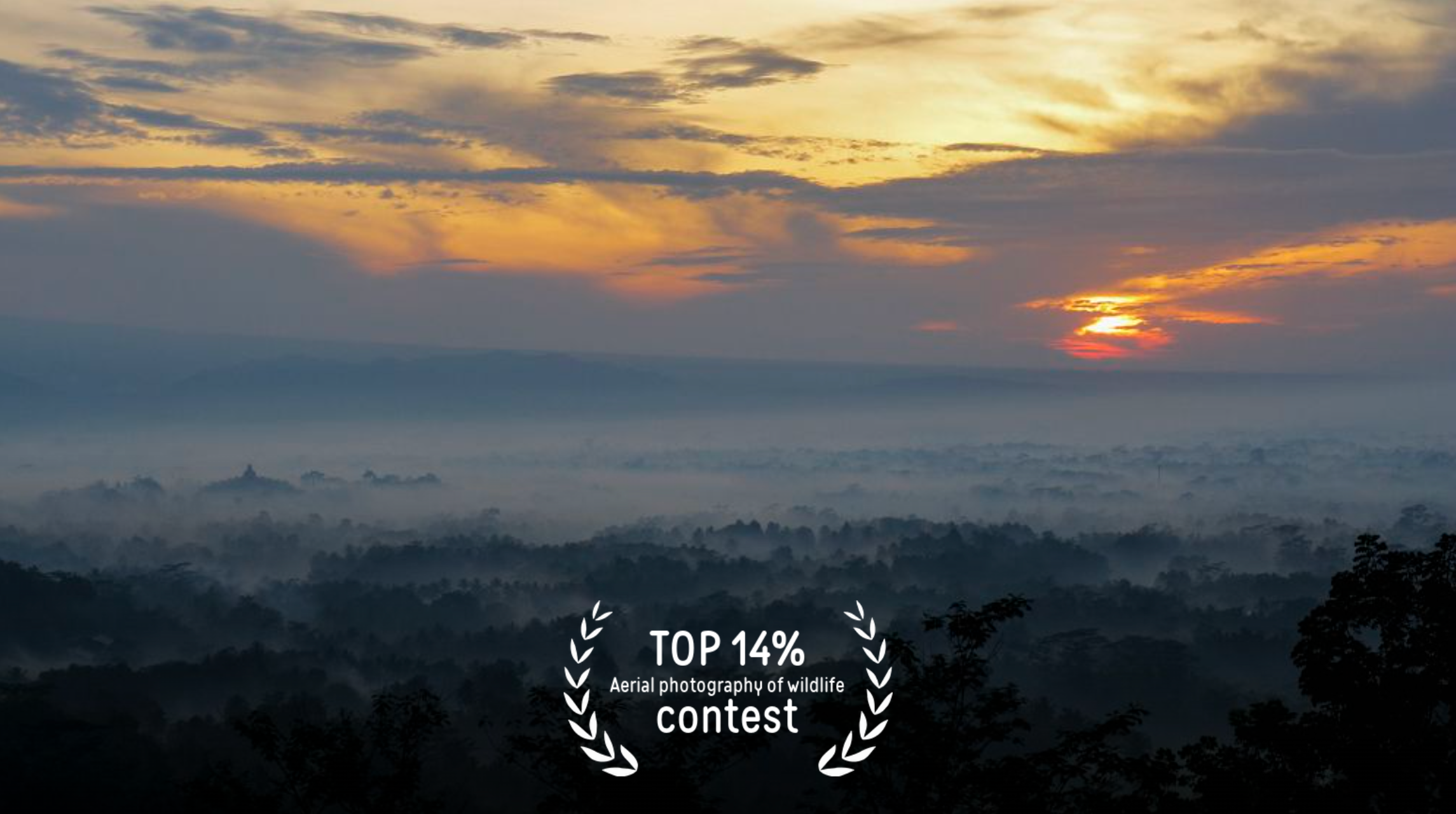 Обо мне. Фотограф в Москве Александр Кутявин