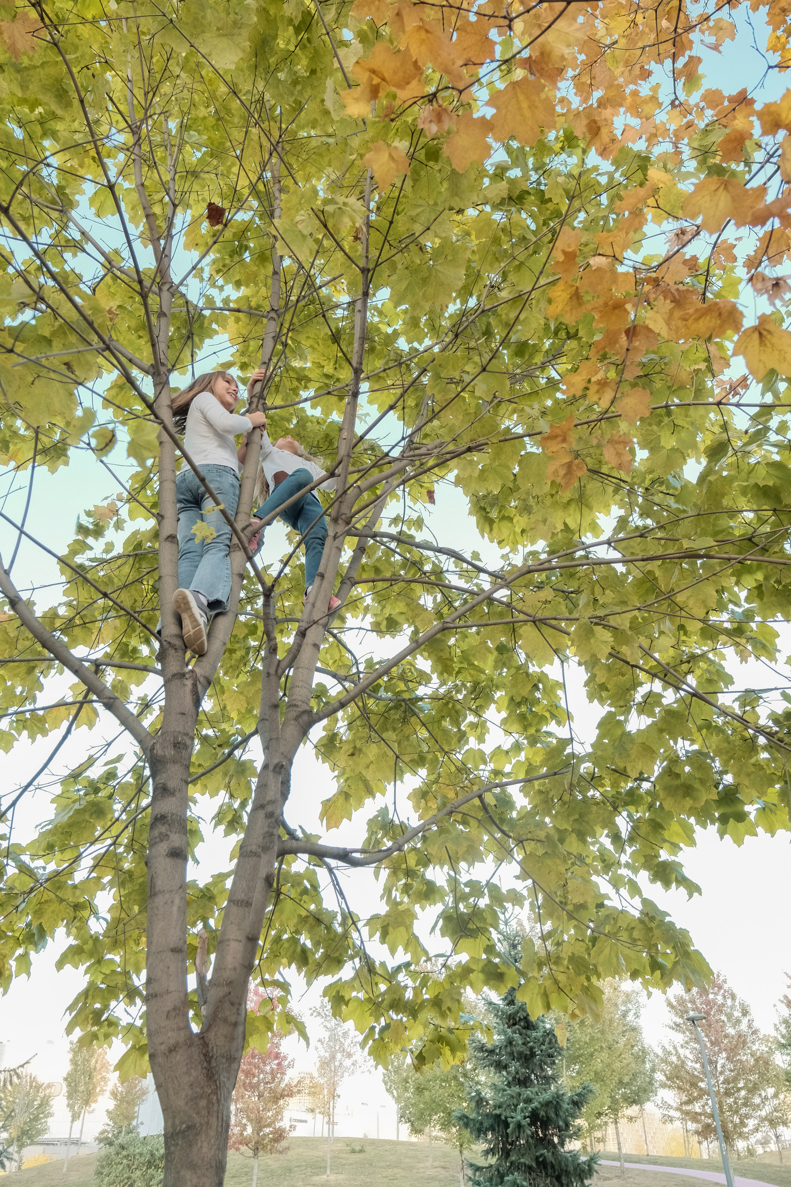 Прогулка Марии с дочерьми в парке Ходынское поле. Семейный и детский фотограф в Москве Светлана Потемкина
