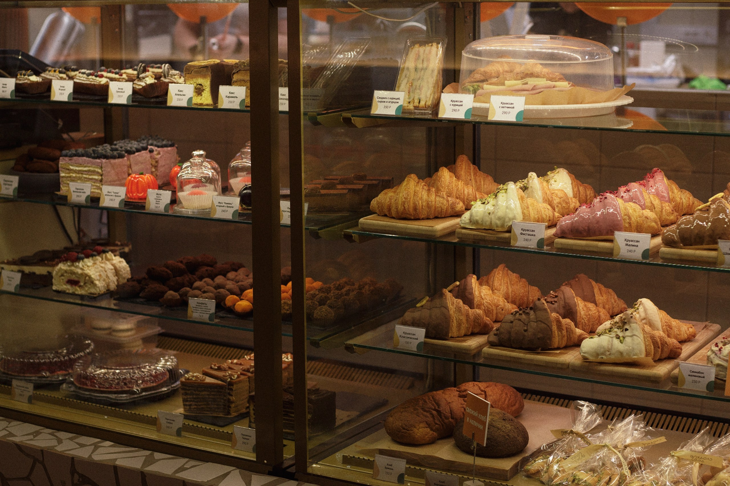 Однажды в кондитерской. Фотограф-анималист в Калуге Мария Шерскова