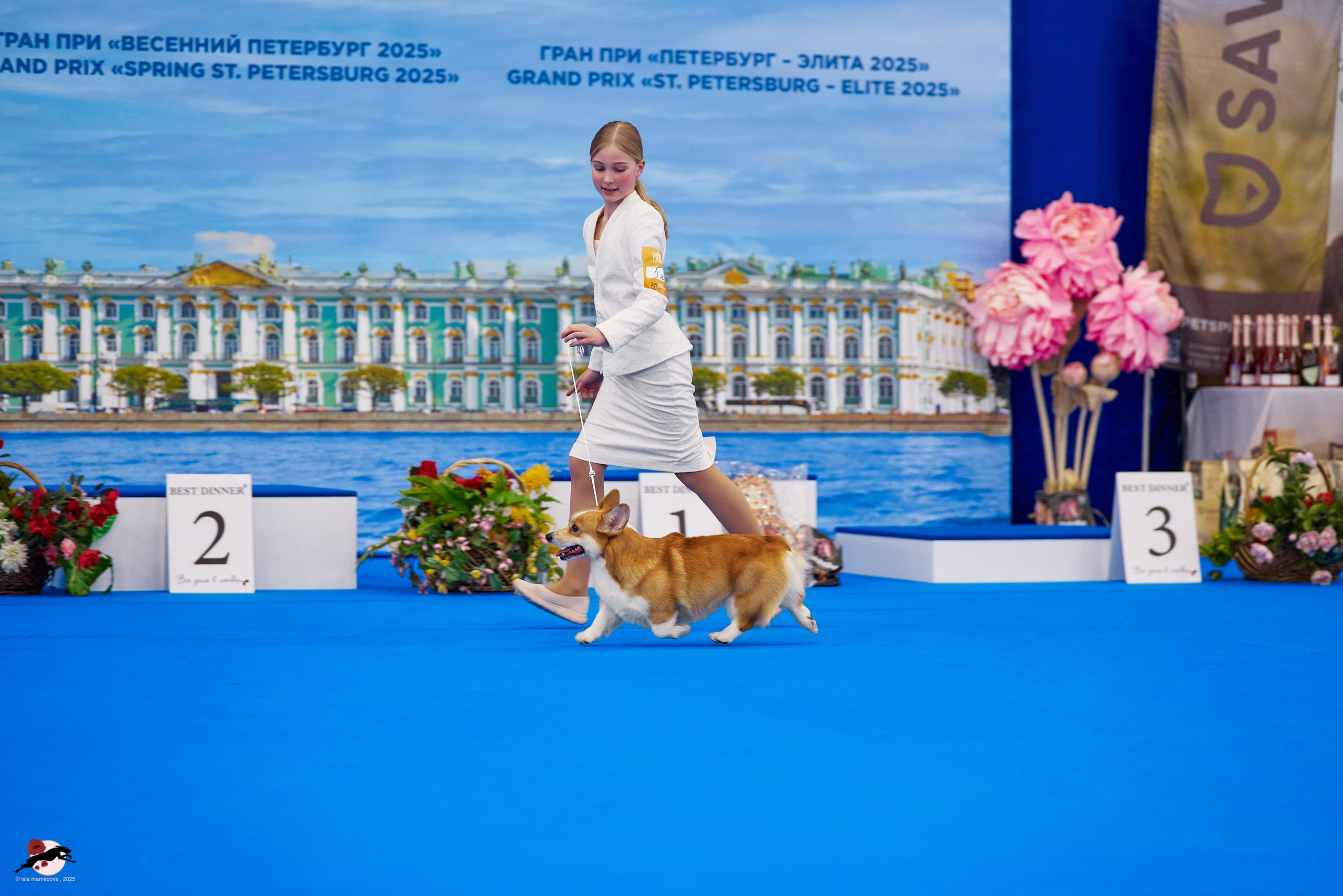 ГРАН ПРИ «ВЕСЕННИЙ ПЕТЕРБУРГ» & «СУПЕР КУБОК «ЭЛИТЫ»-2025»