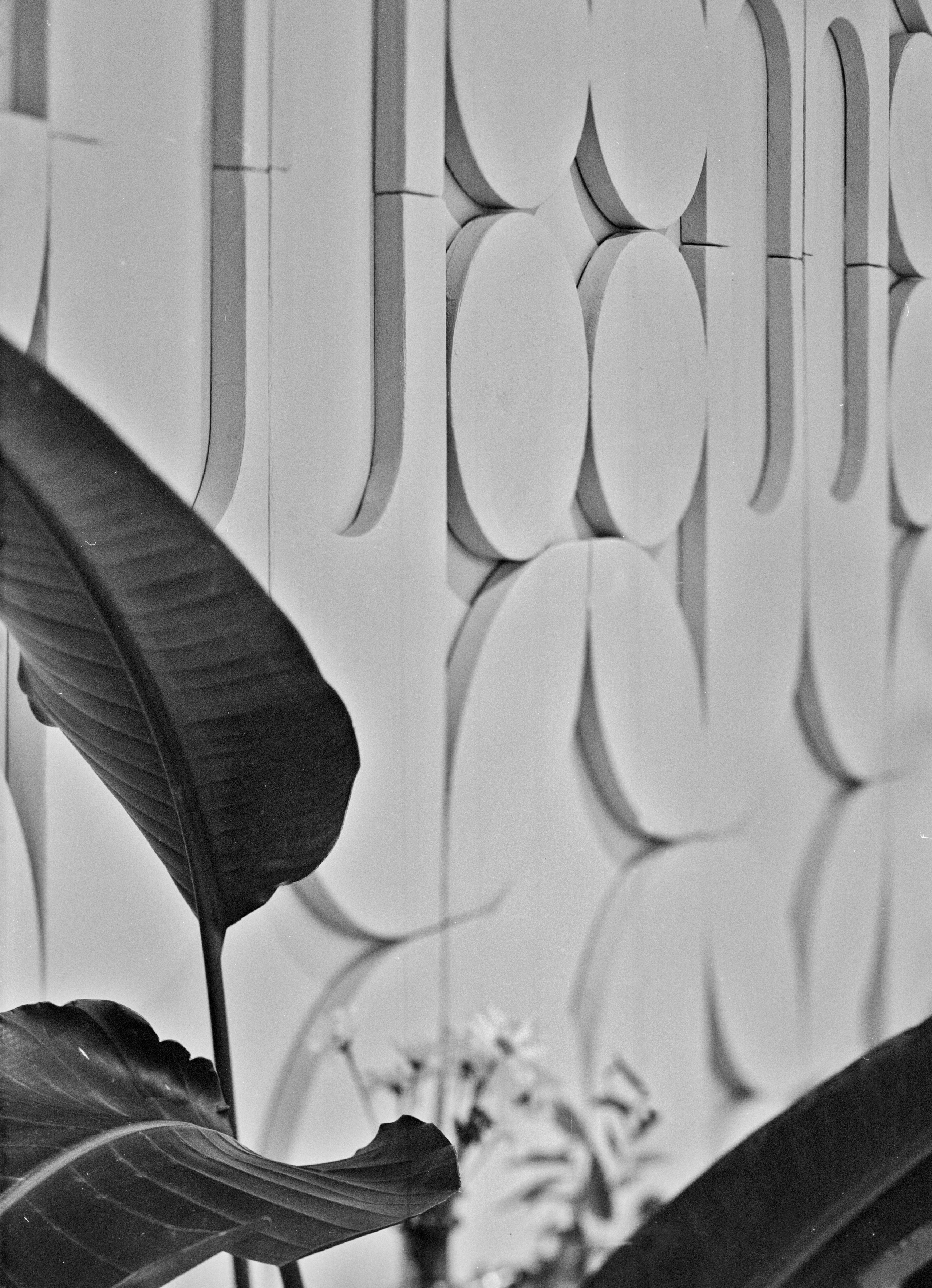 Альбом «Очередная» г. Новороссийск. Проект «Проявленные в кофе»