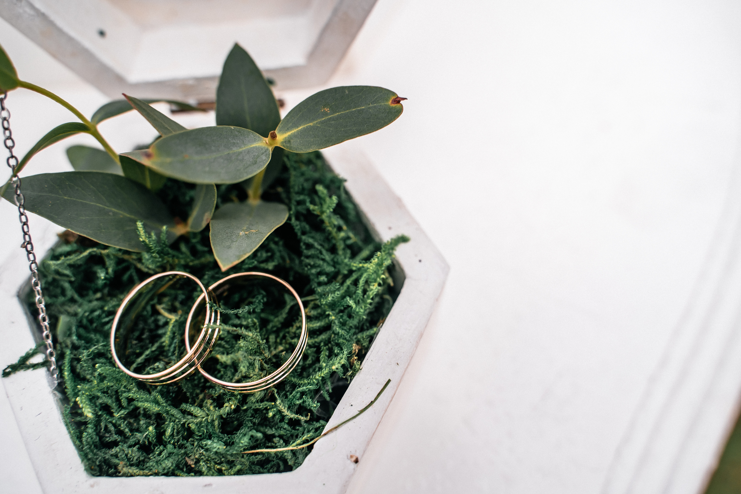 Тёплая Свадьба Марии и Тимофея. Свадебный Фотограф Минск || Фото и Видеосъёмка Минск || Другие города