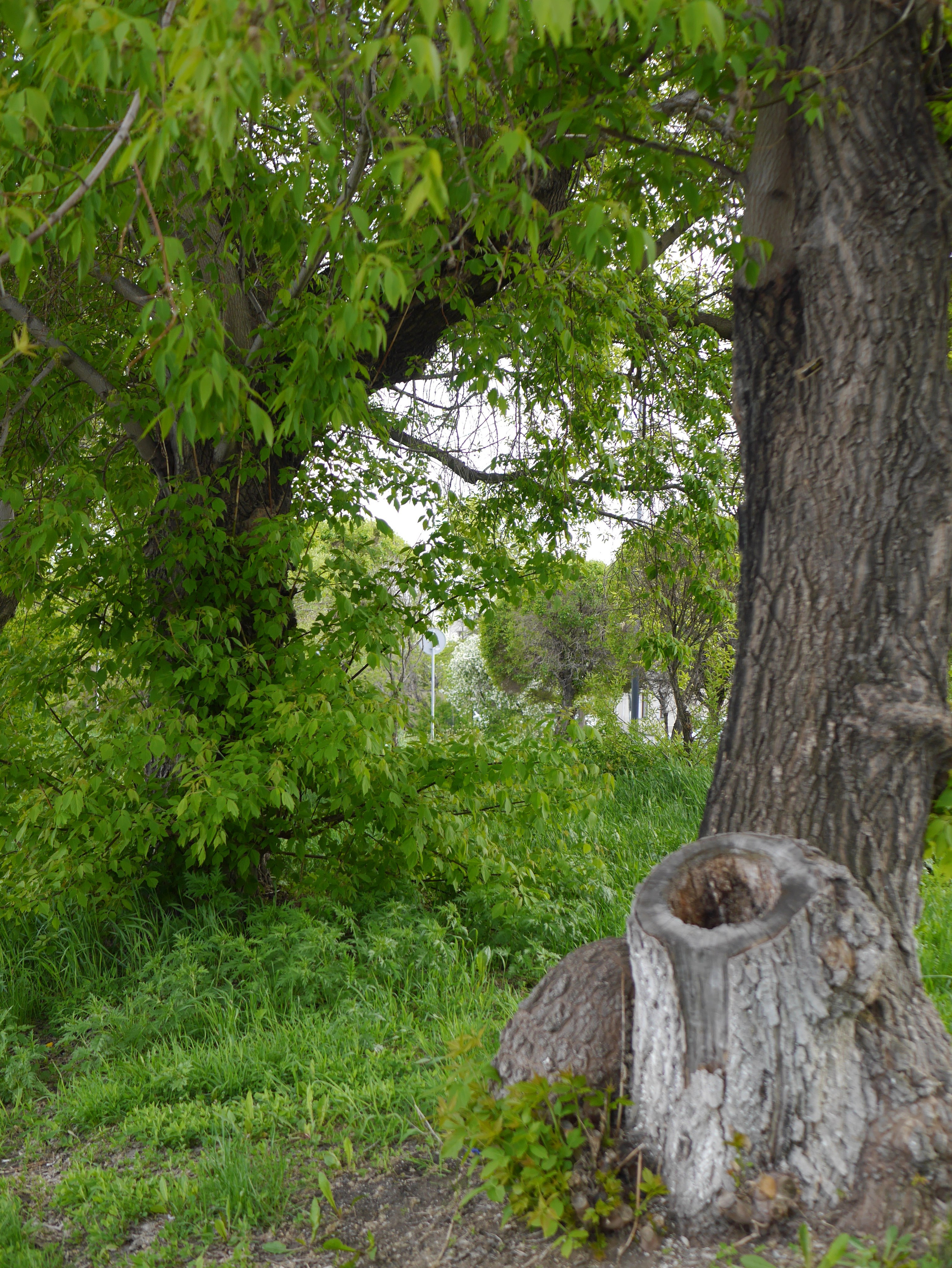 Вся красота мира в одной картинке