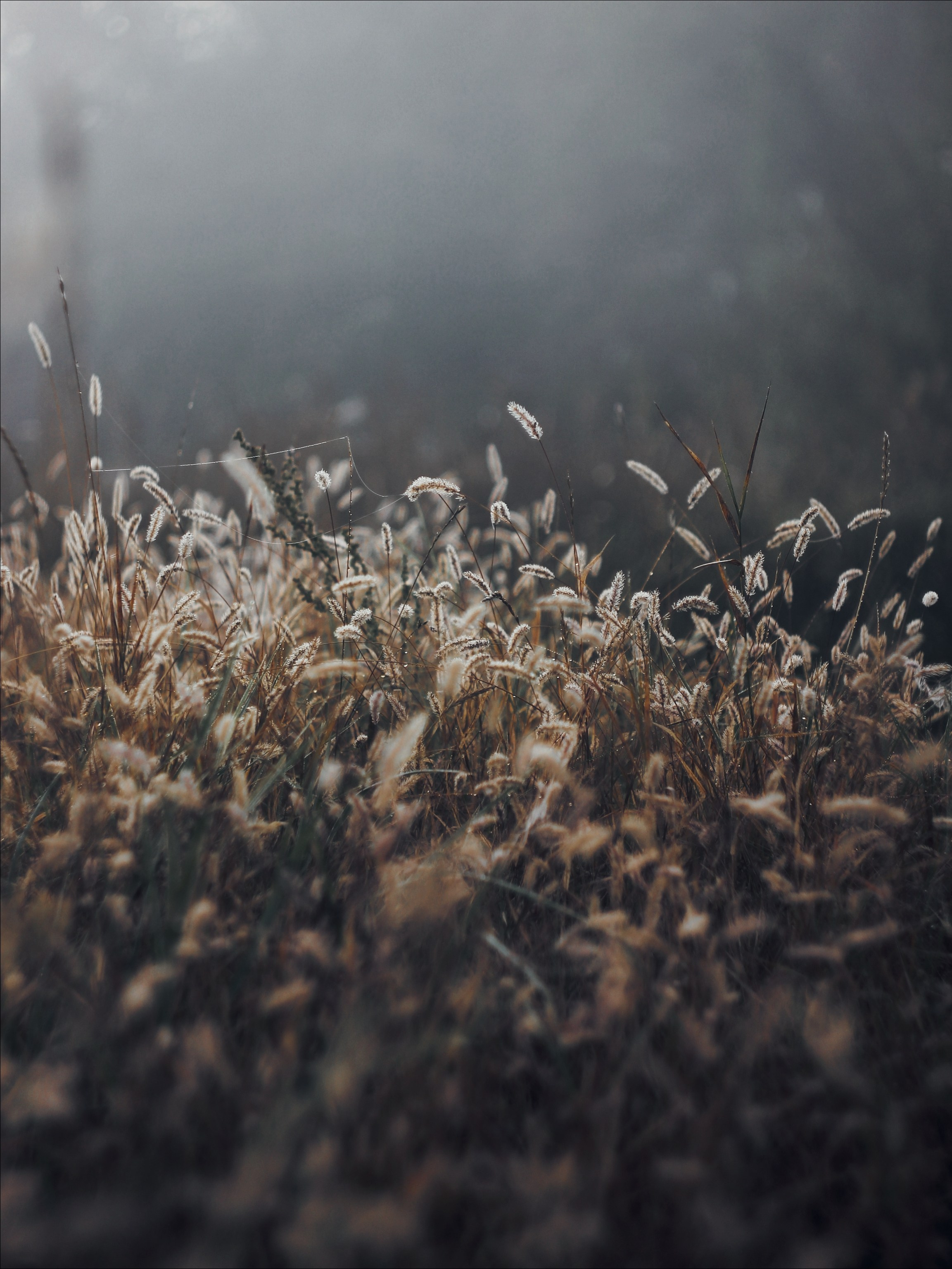 Опустошенность. С любовью, фотохудожник