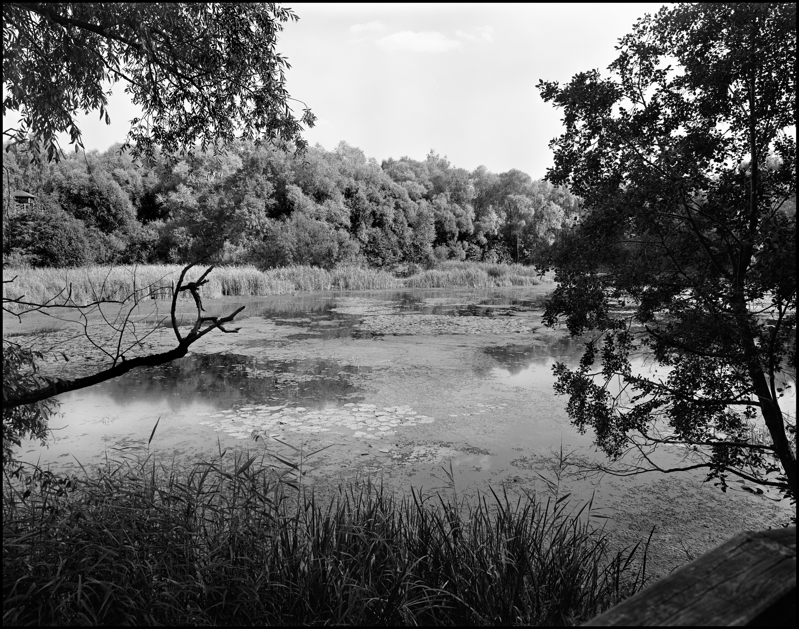 Landscape. Sergey Kondriuk art-photographer | artist