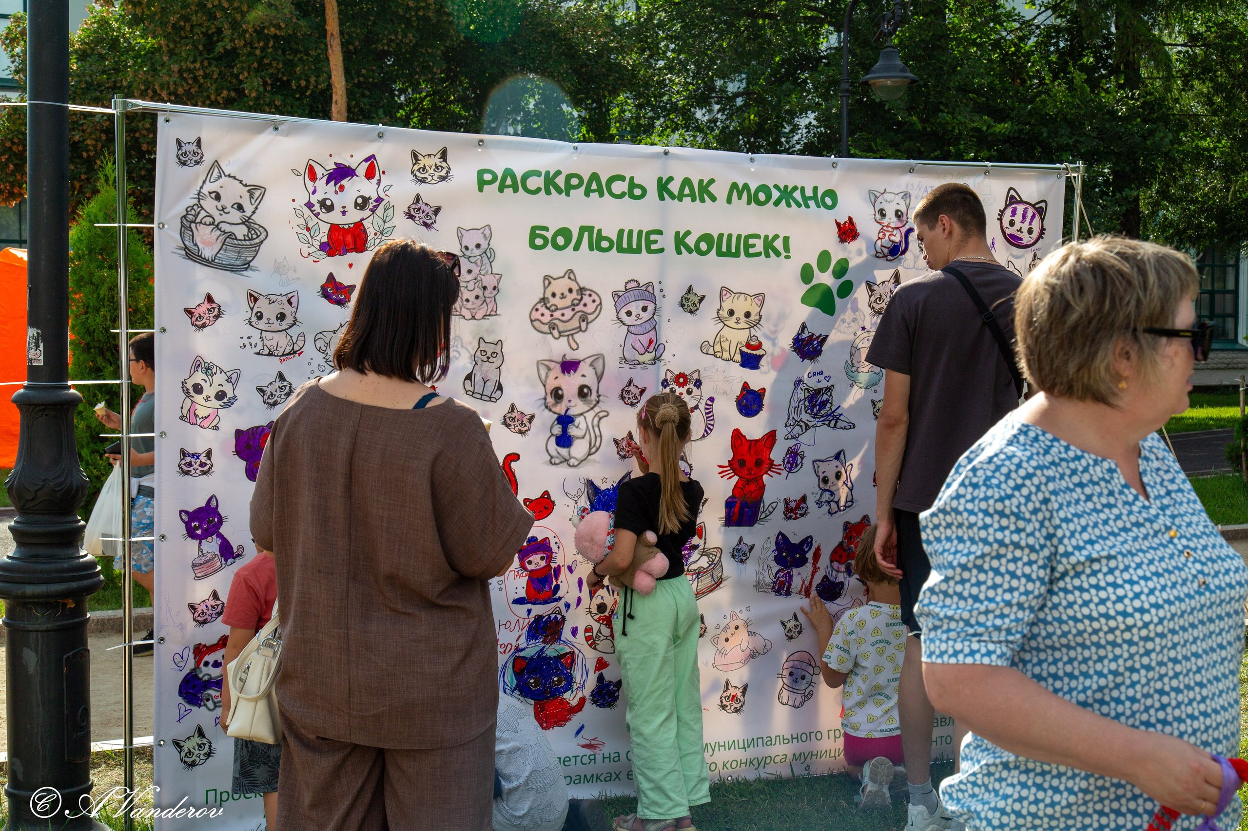 День города 03.08.2024. Фотограф Омск | Александр Вандеров