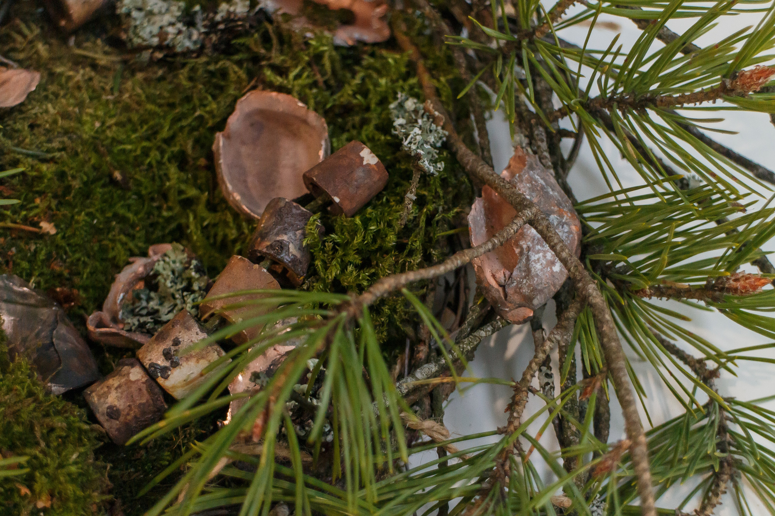 56,0123320, 38,39001773. Козлова Екатерина. Междисциплинарная визуальная художница