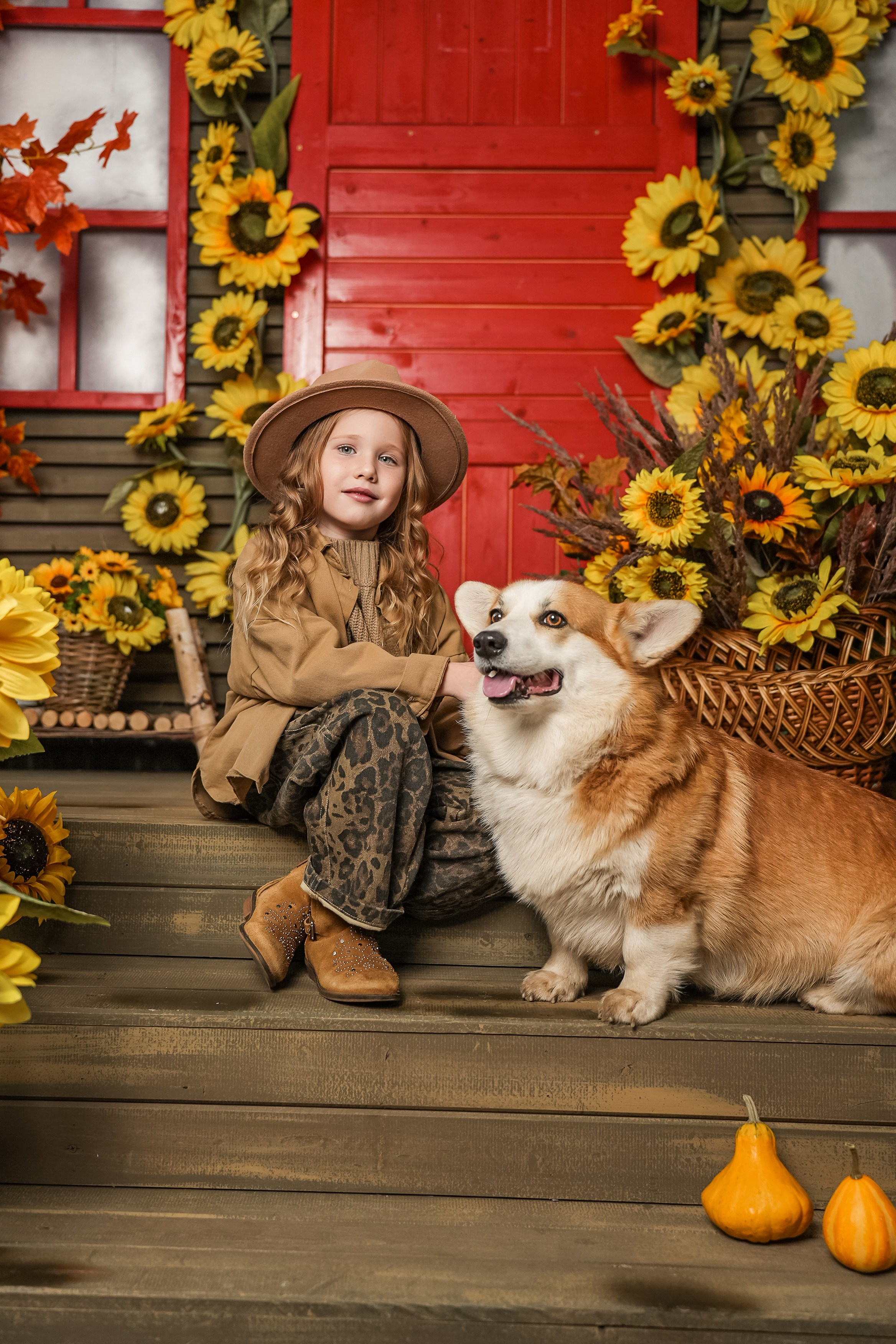 Фотосессия с корги, осенняя фотосессия с корги, аренда корги. Семейный и детский фотограф в Москве Мария Быкова