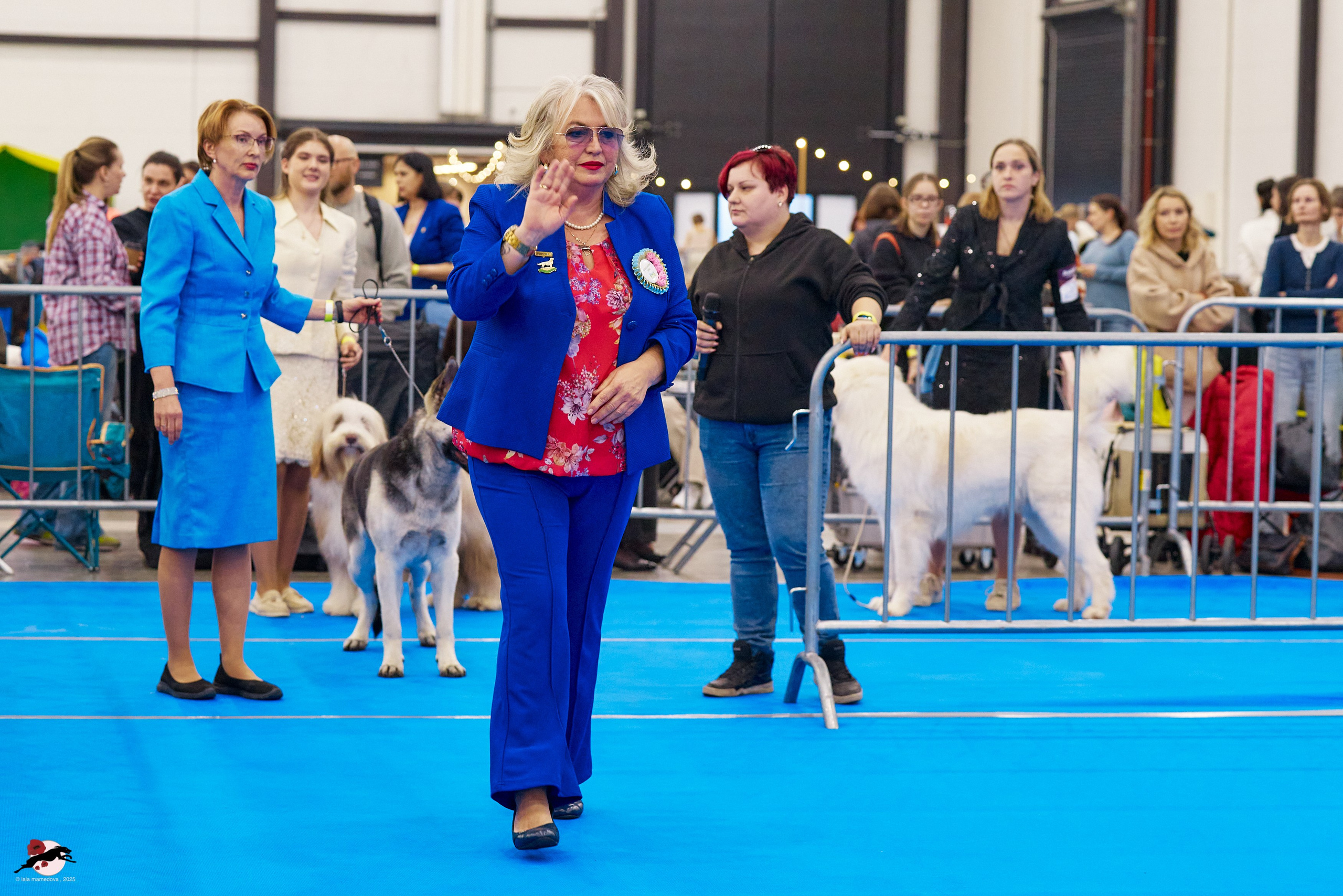 ГРАН ПРИ «ВЕСЕННИЙ ПЕТЕРБУРГ» & «СУПЕР КУБОК «ЭЛИТЫ»-2025»