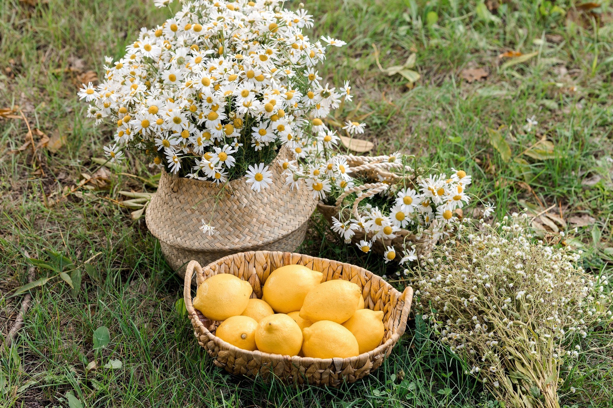 Зульфия и Сафина